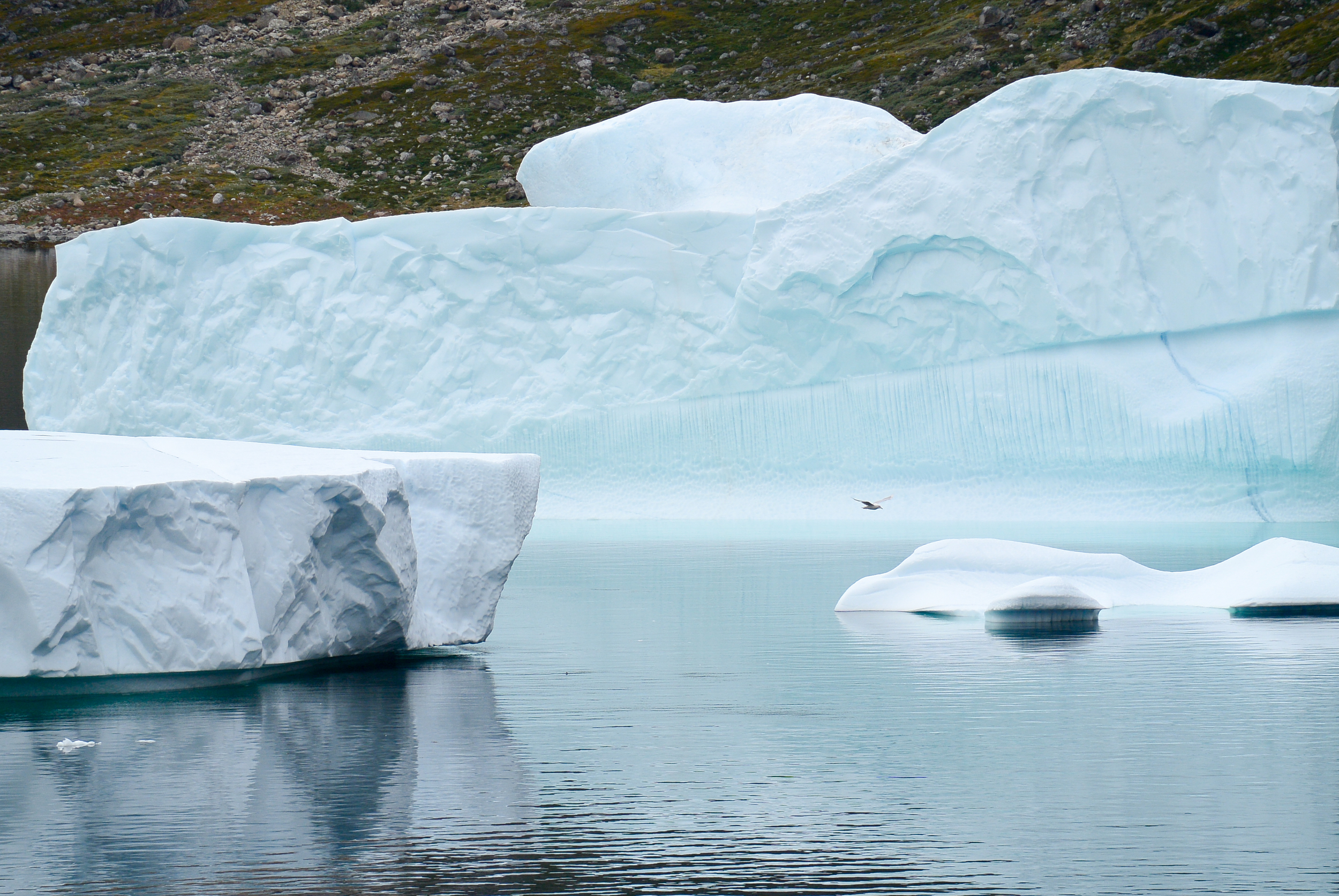 Prince Christian Sound