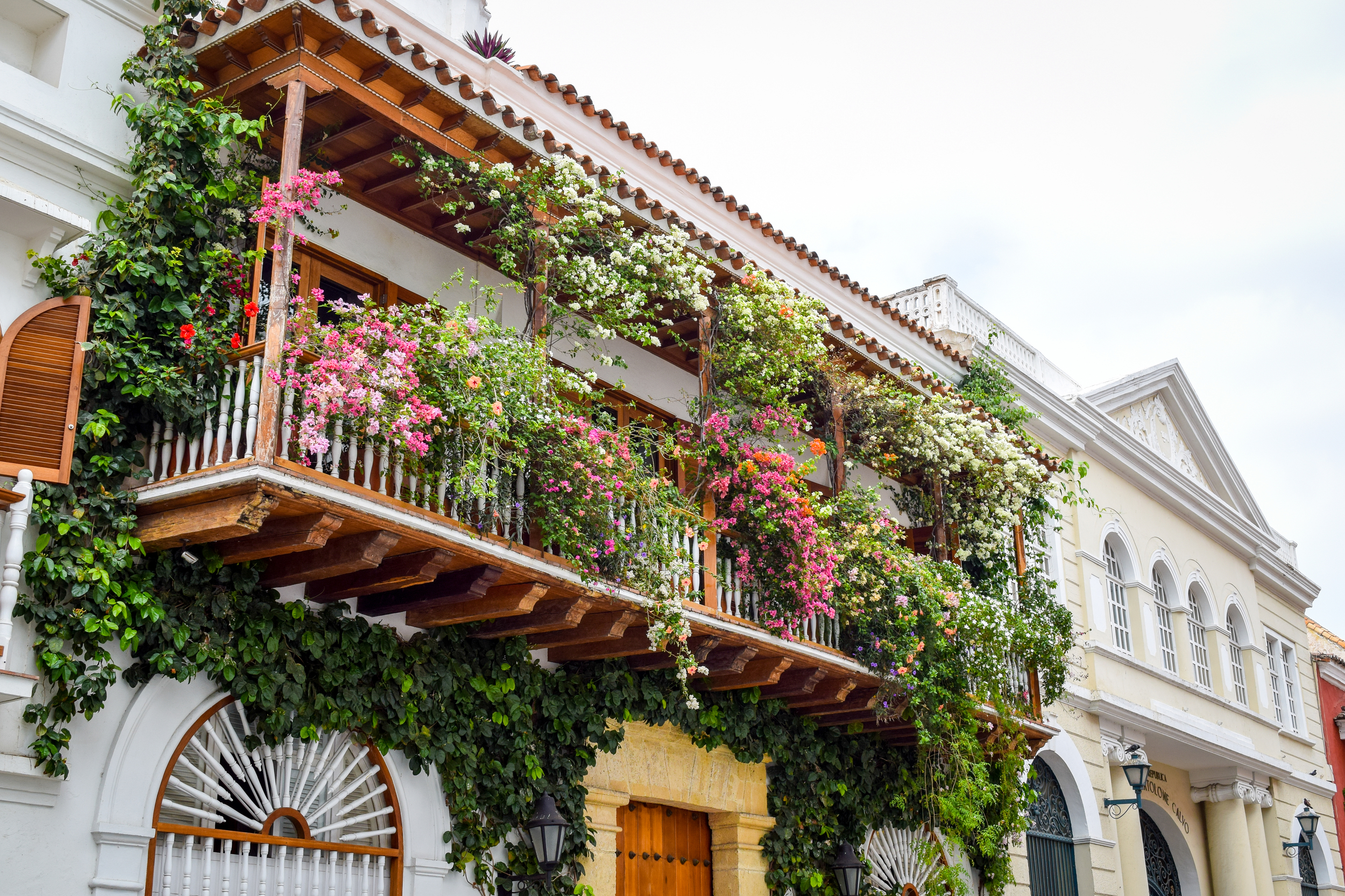 Blooming balcony in Cartagena