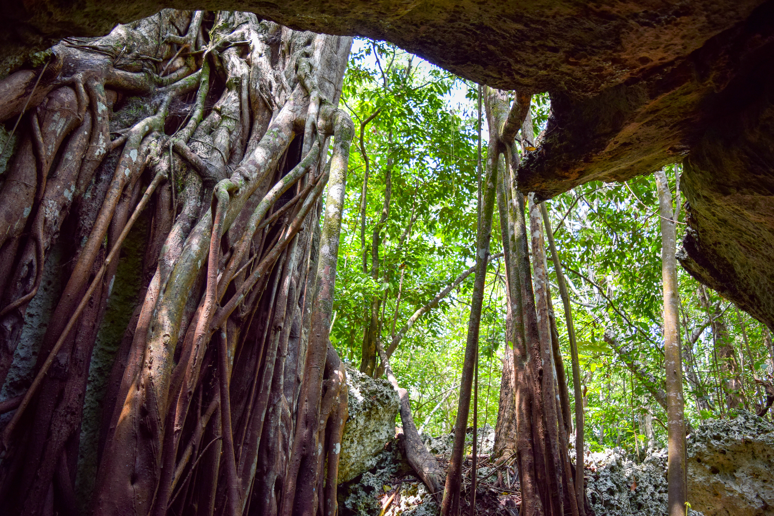 Green Grotto Caves