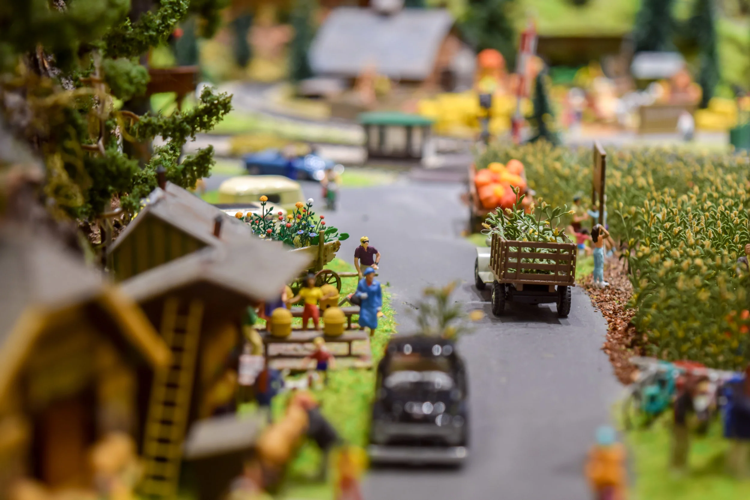Discovering A Miniature World In Osoyoos British Columbia Sidetracked Travel Blog