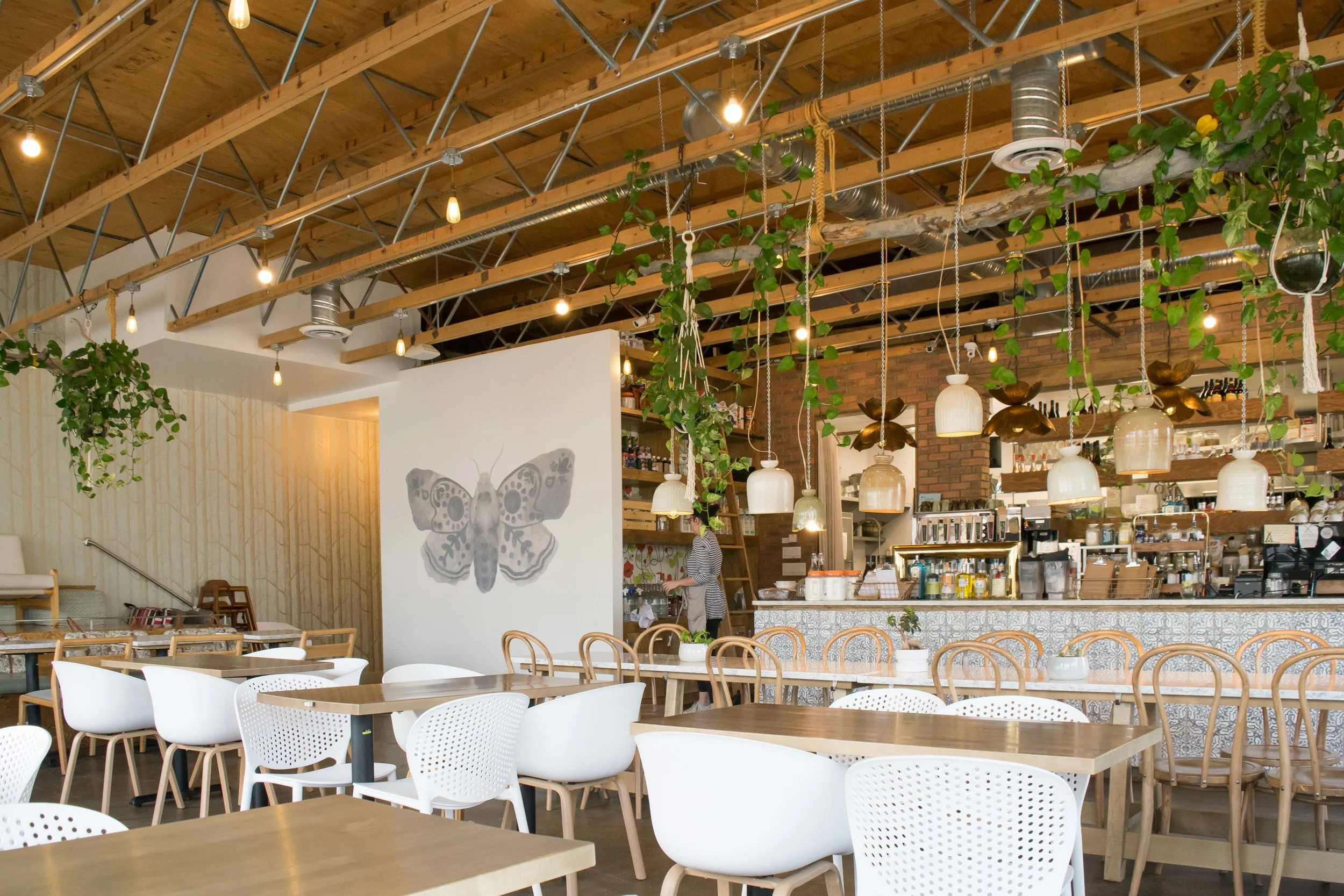 The Moth Cafe: Vegan Eatery in Edmonton 