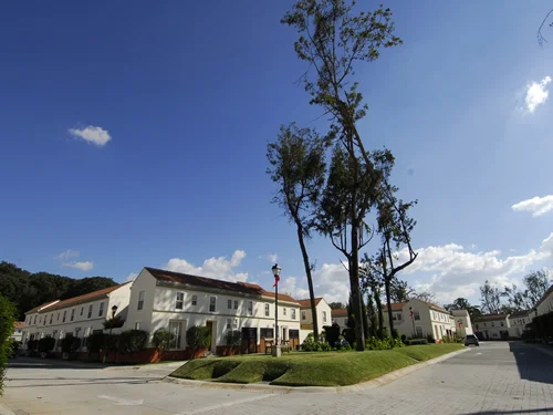 Parks Planned Around Existing Trees