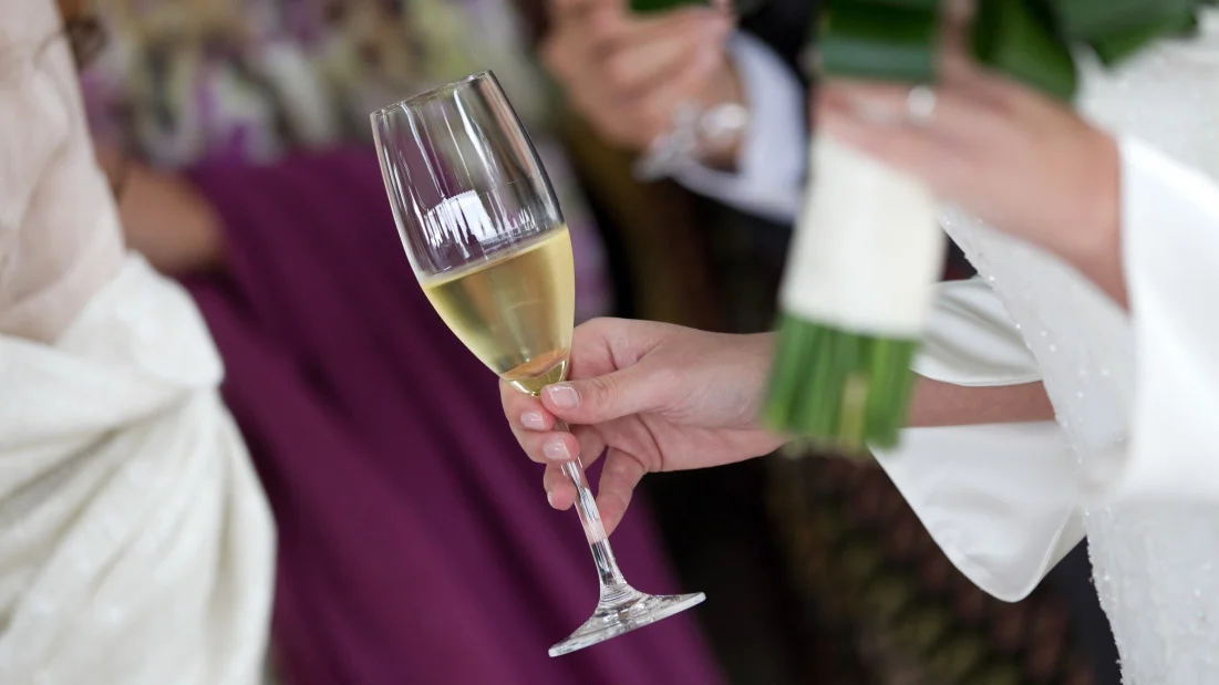 Culinaryweb-8.jpg
