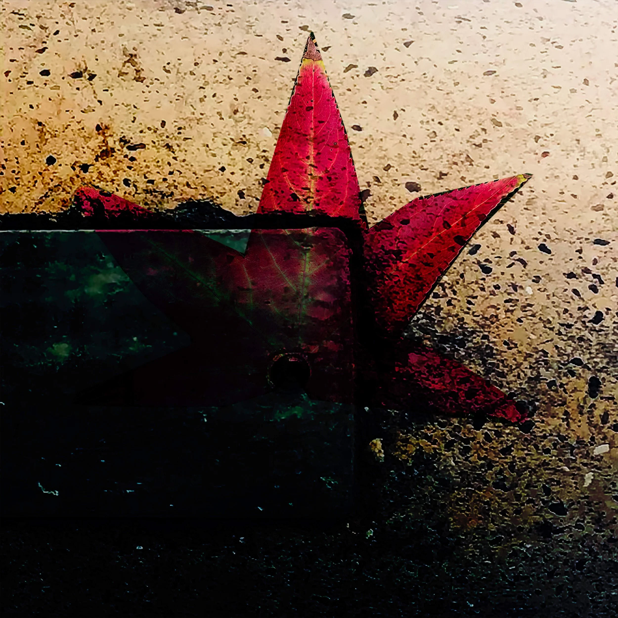 Gentoo Variations EP - out now!