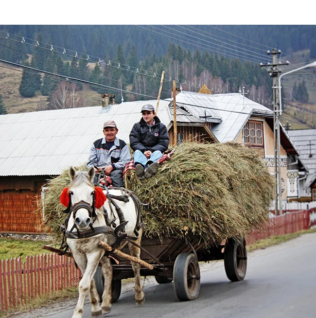 Romanian_Hay_Wagon tall.jpg