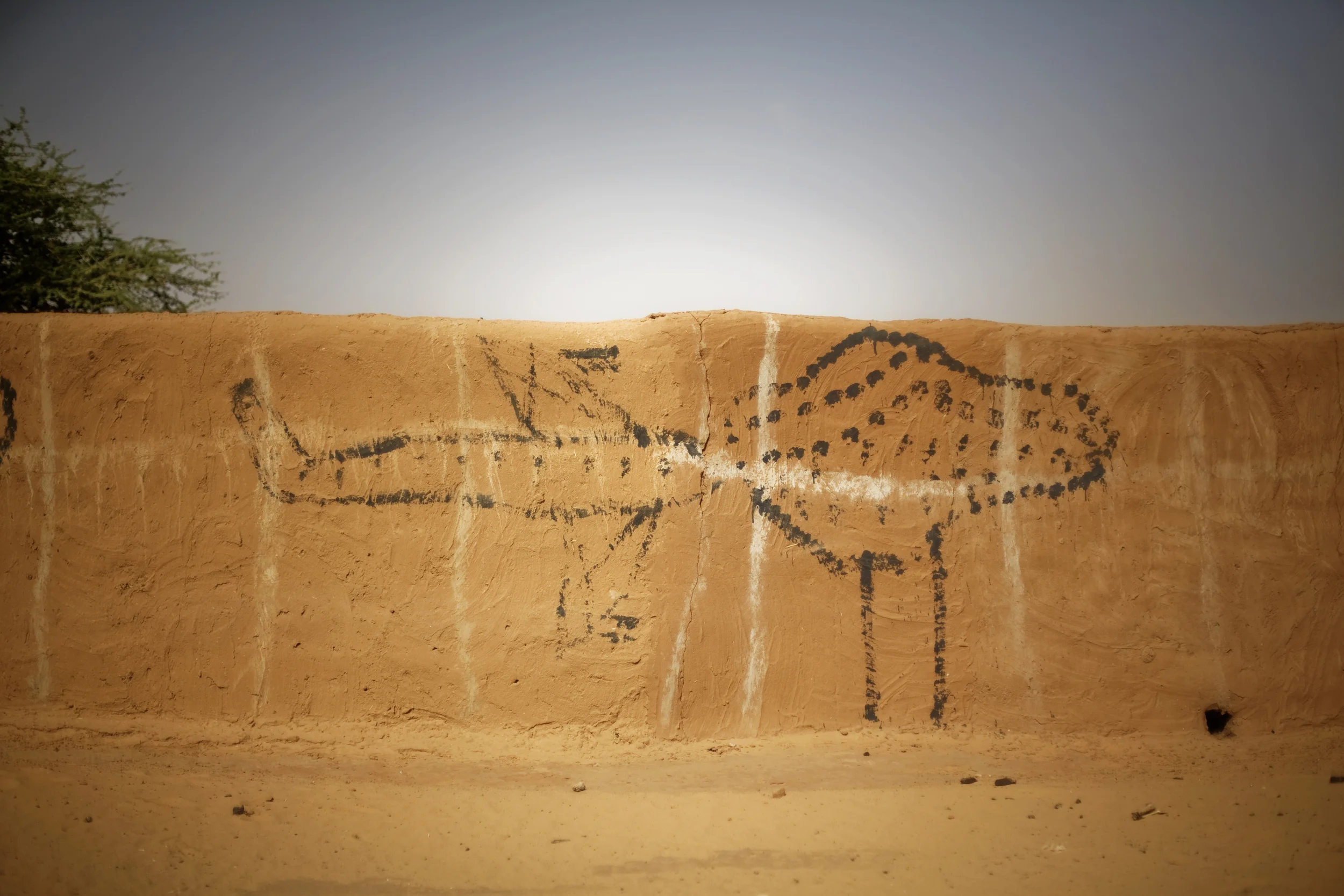 cf2009007_03773b copy.jpg