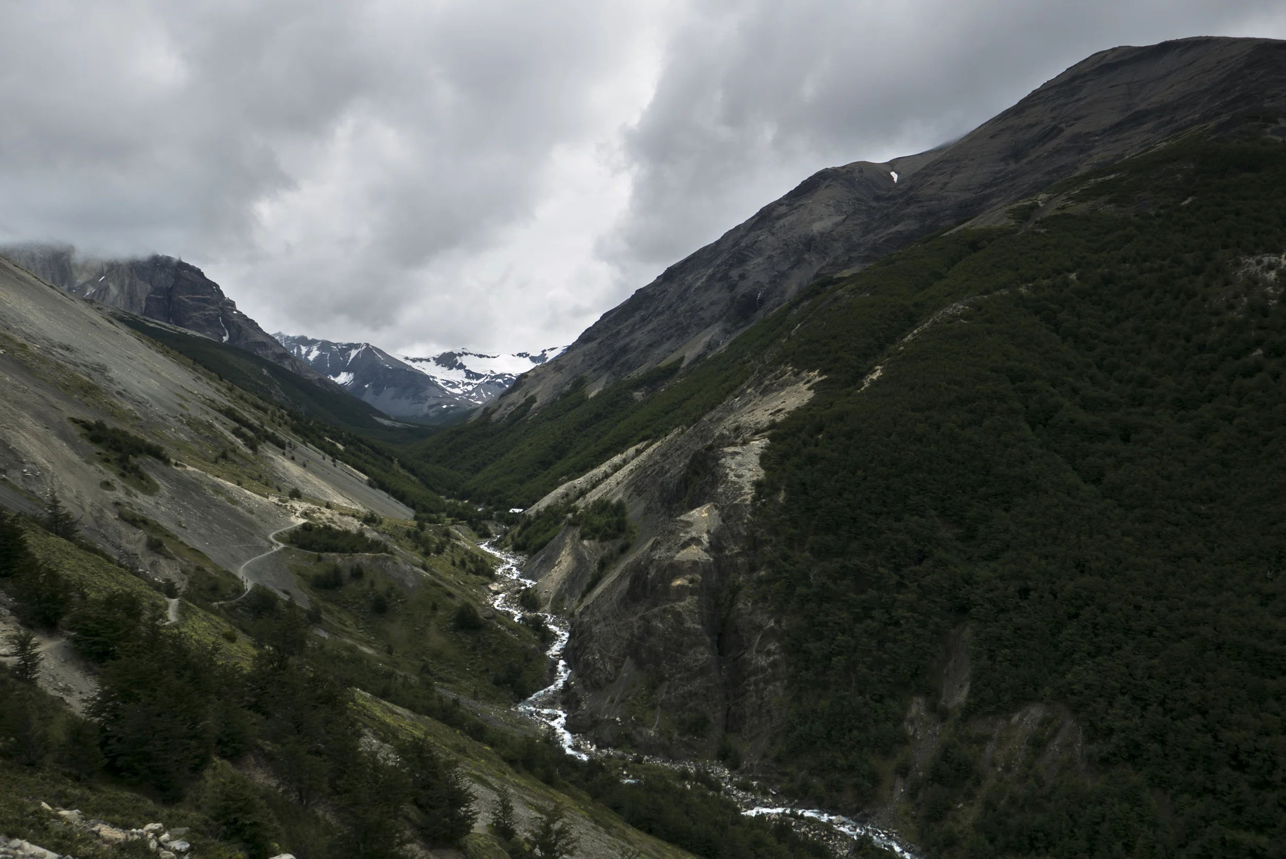 argentina_2014_0548.jpg
