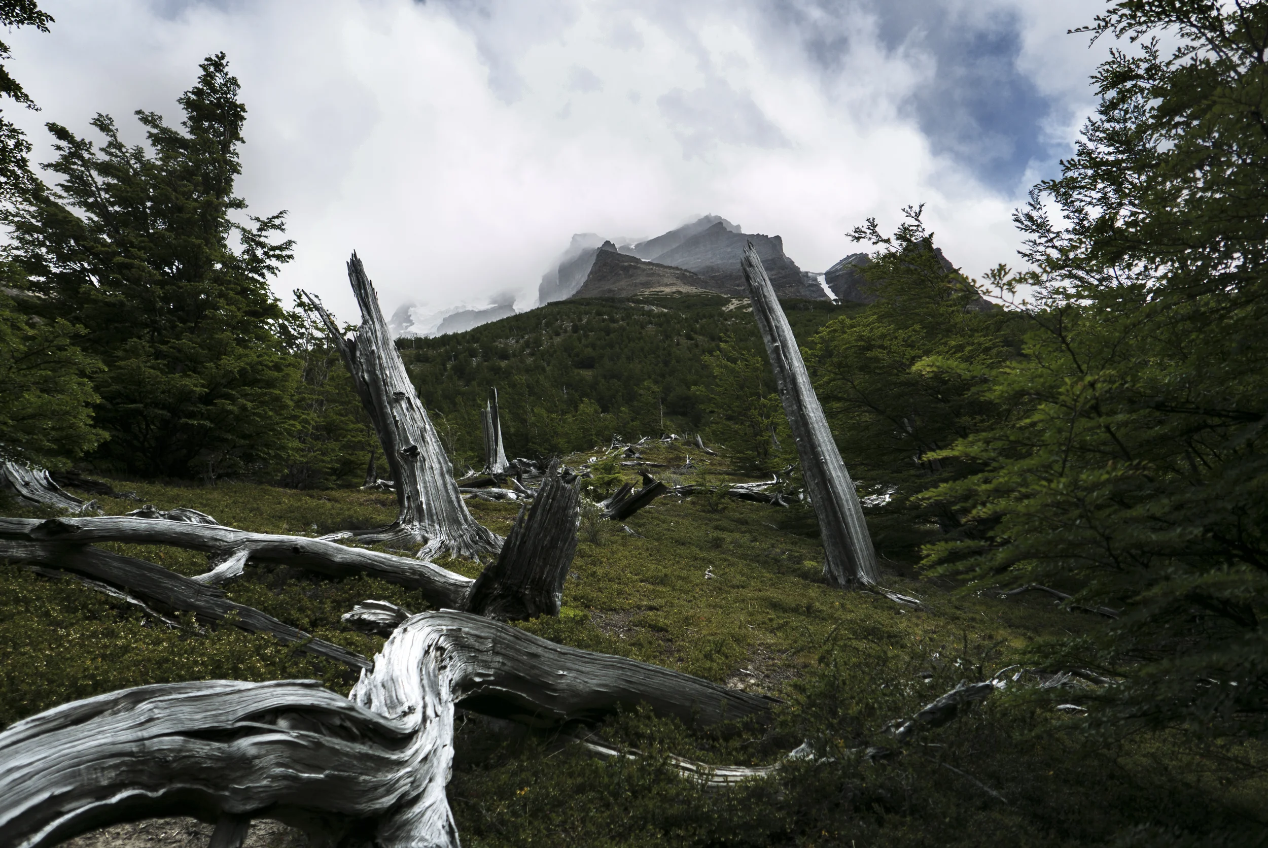 argentina_2014_0557.jpg
