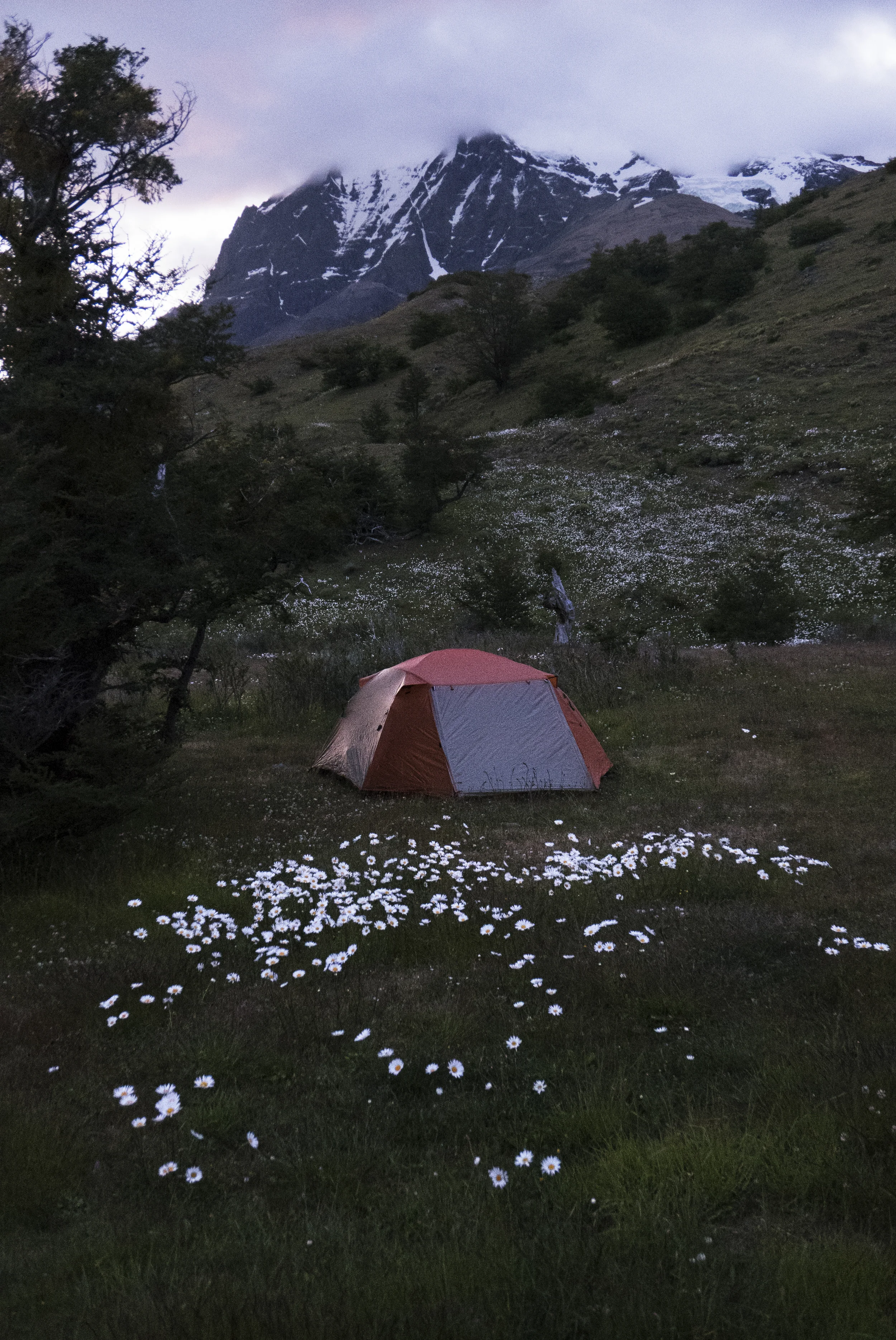argentina_2014_0621.jpg