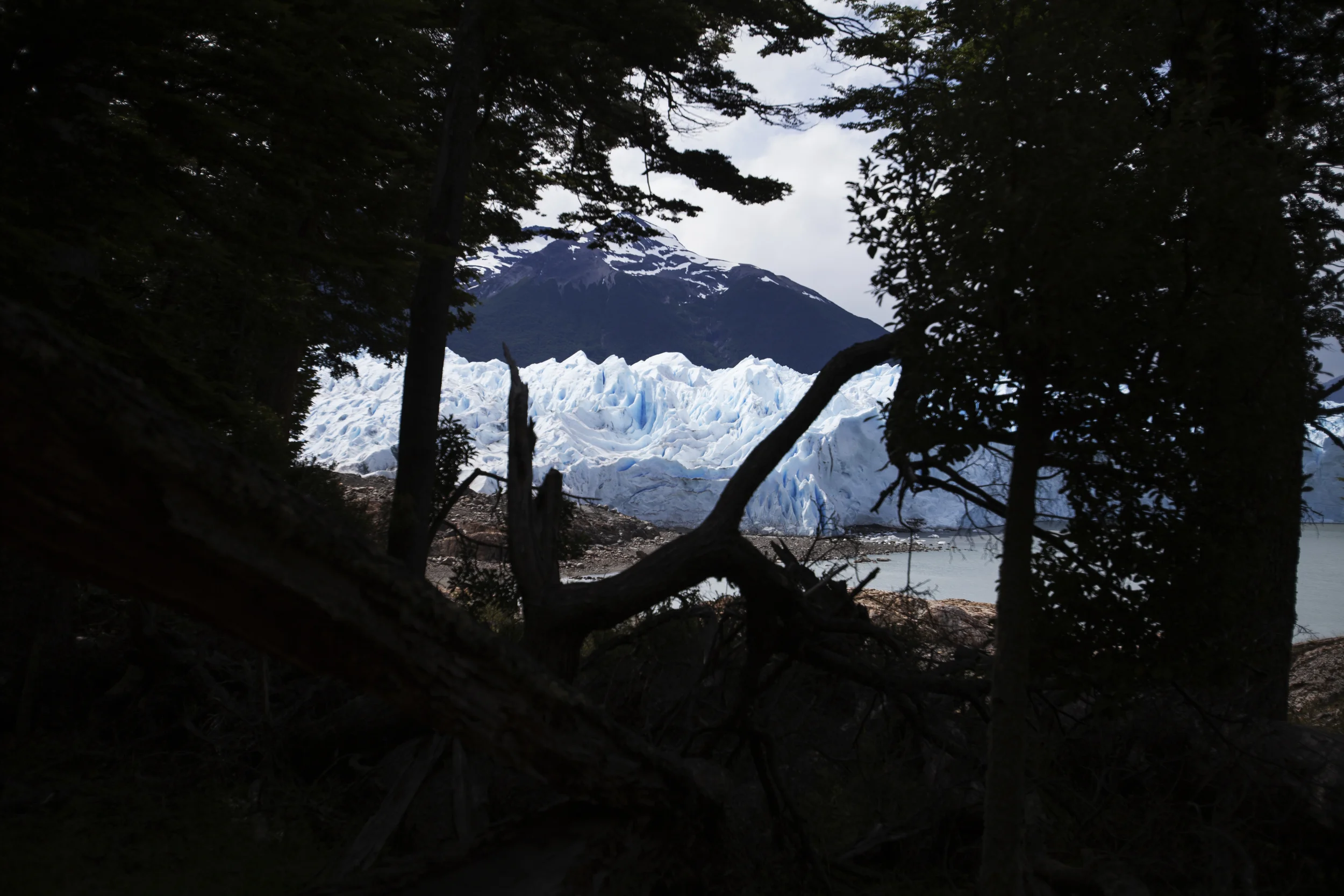 argentina_2014_1427.jpg