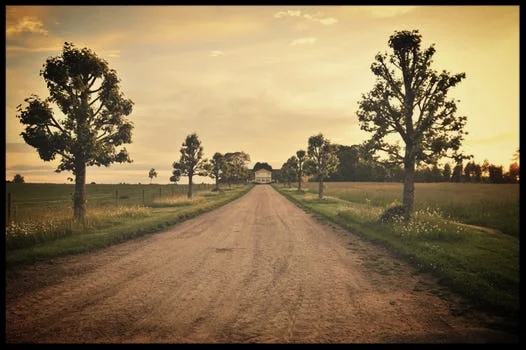 road.jpg