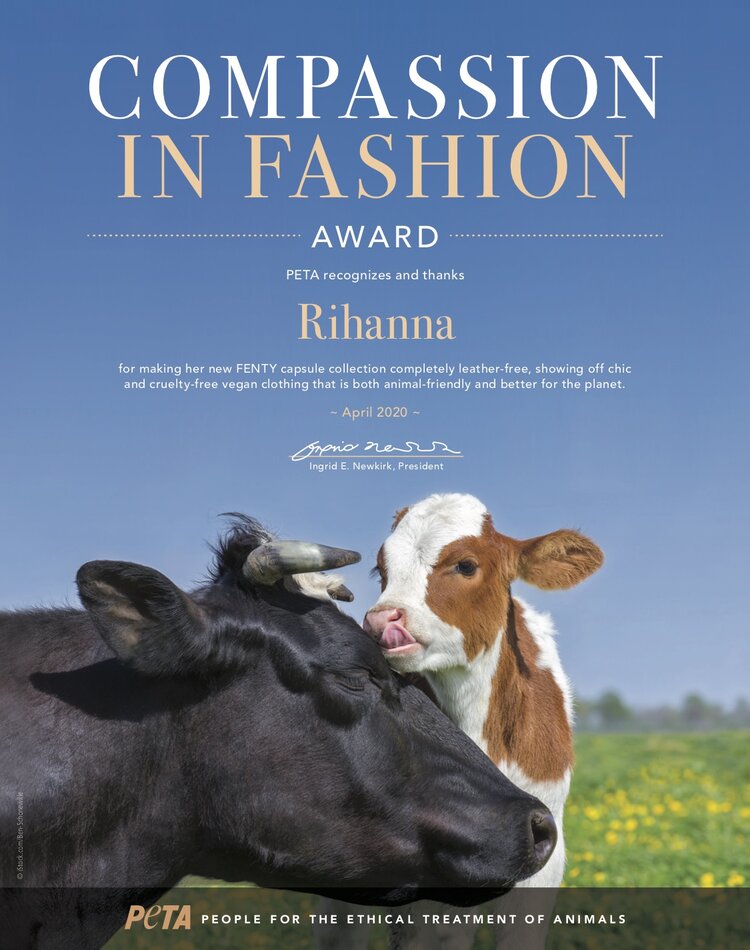 Compassion-in-Fashion-Award-Rihanna - copie.jpg