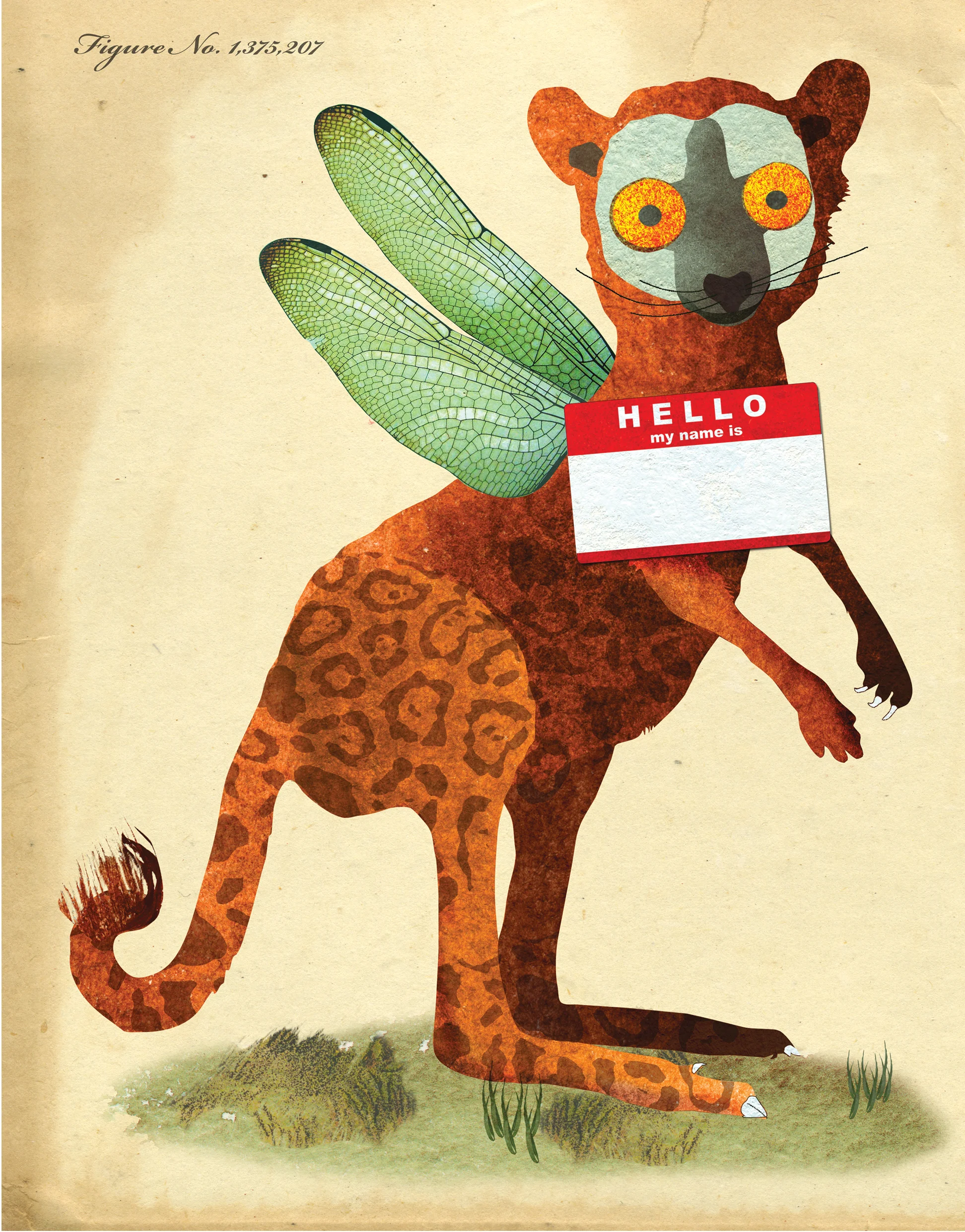 All the New Species
