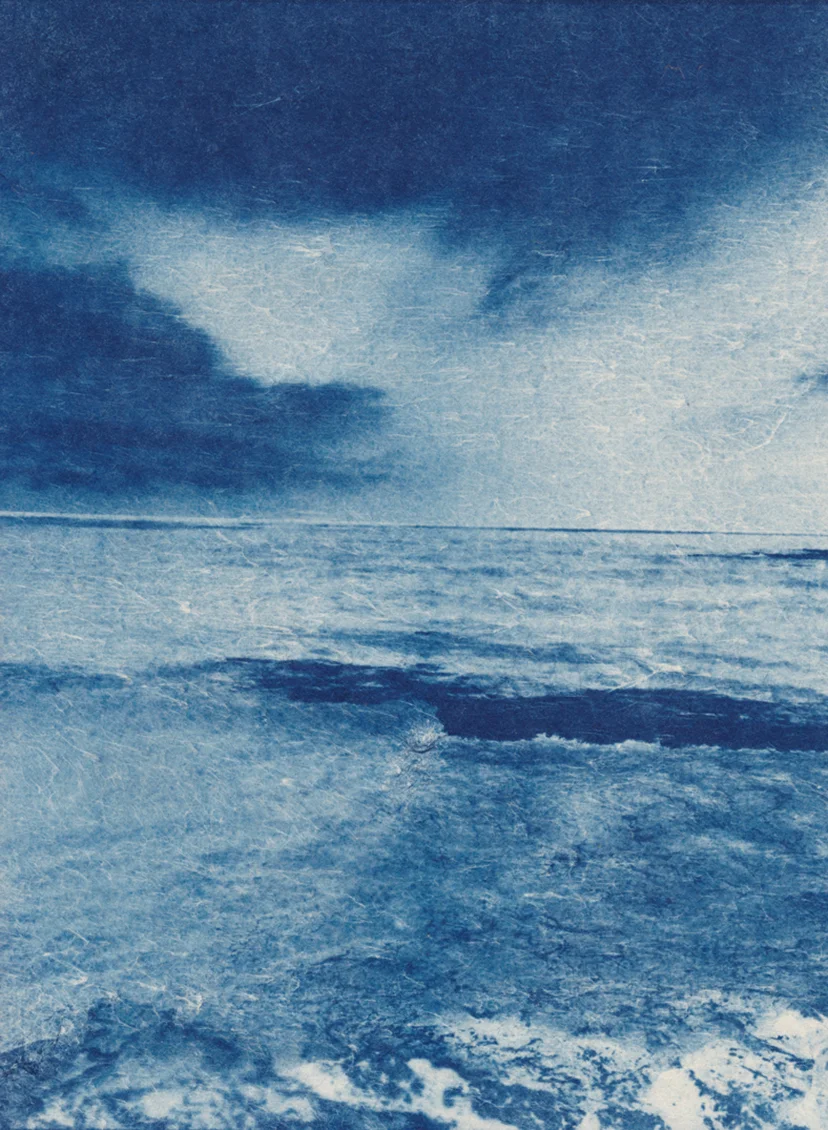 Ocean cyanotype, 8.5" x 11.5"h 2017