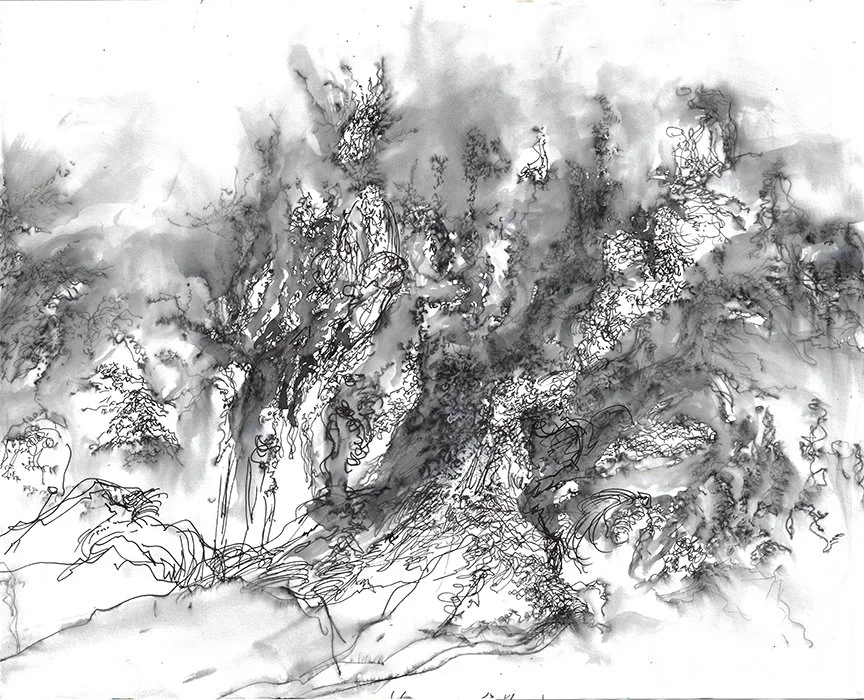 Landscape #19