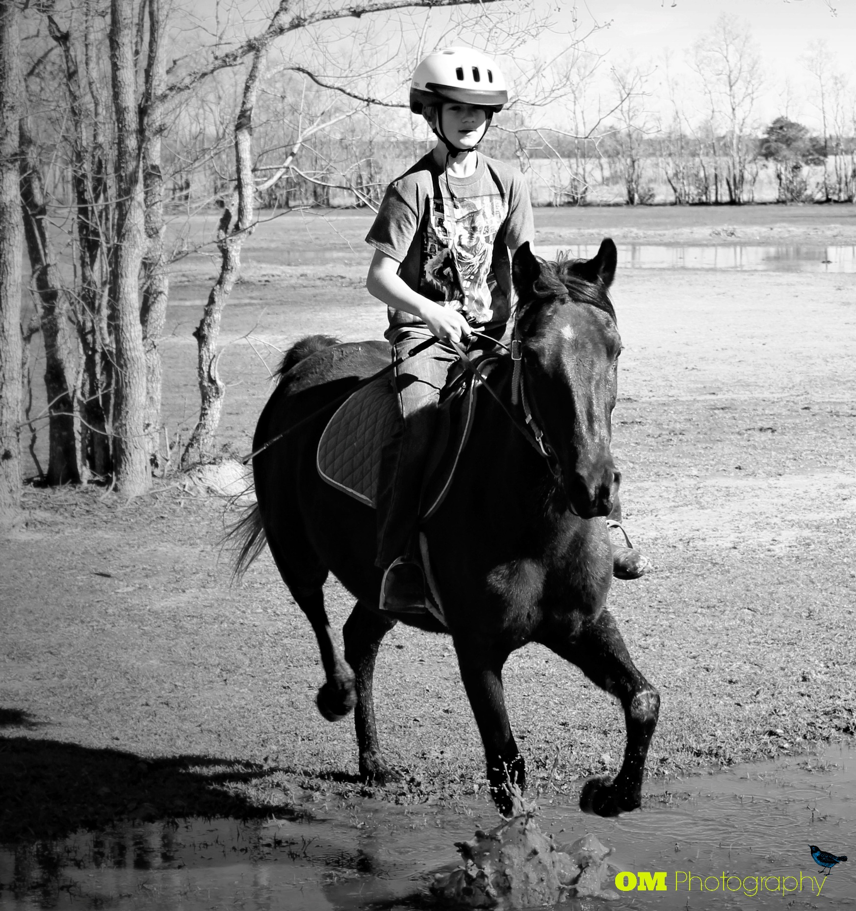 A boy & his horse