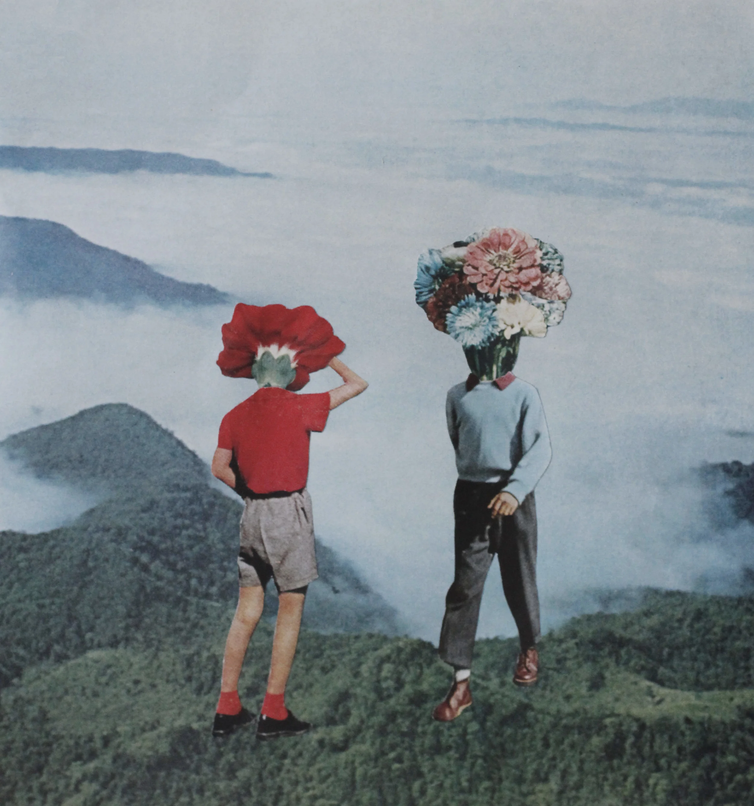 flowerheads.jpg