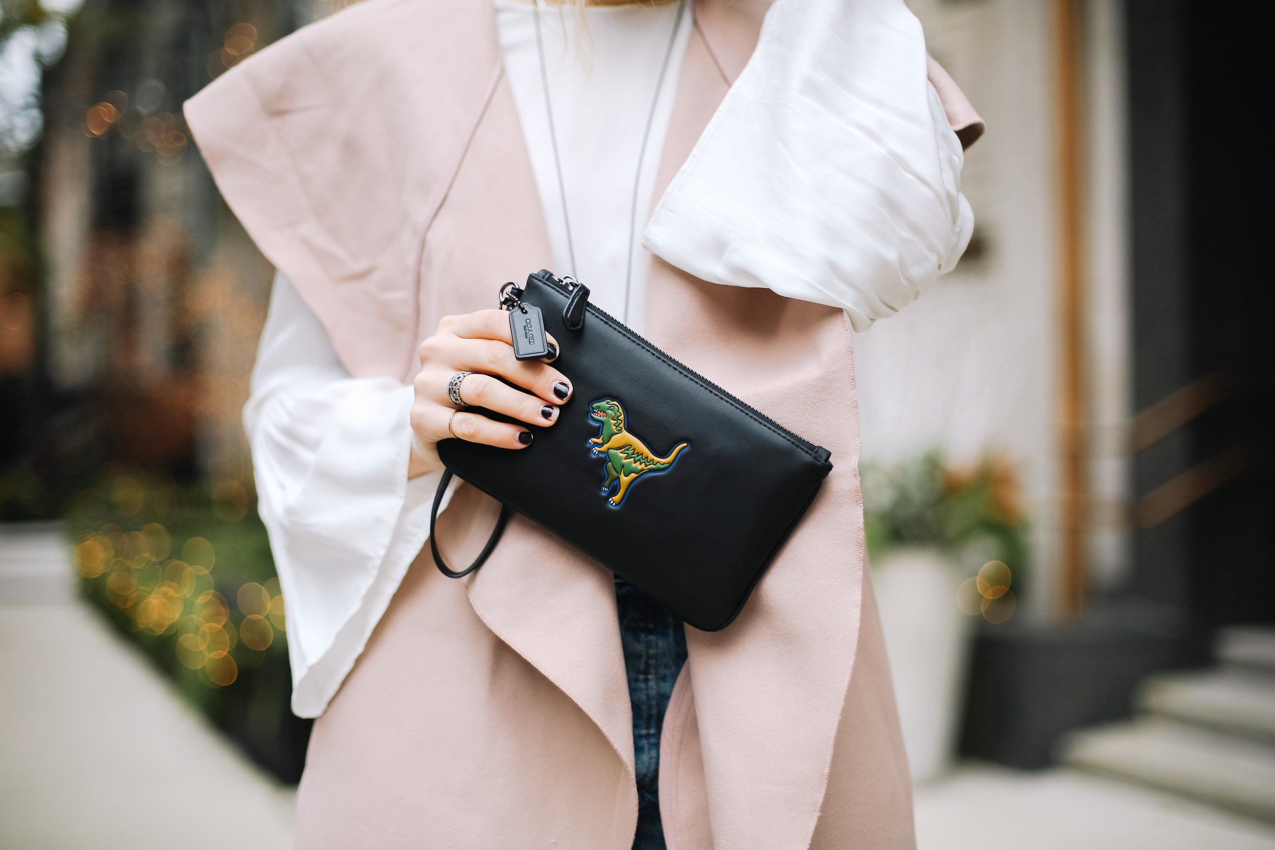 coach-rexy-wristlet
