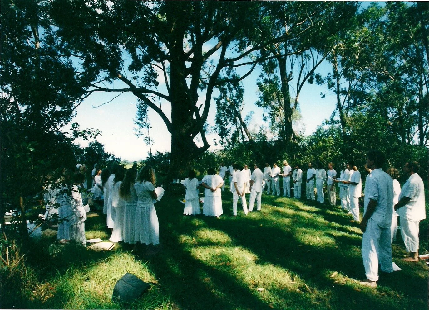 hpqscan0002.jpg