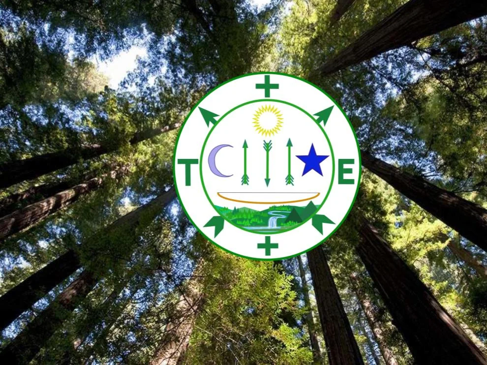 Gira na Floresta - October 22nd 11AM - Redwood Glen - Joaquin Miller Park