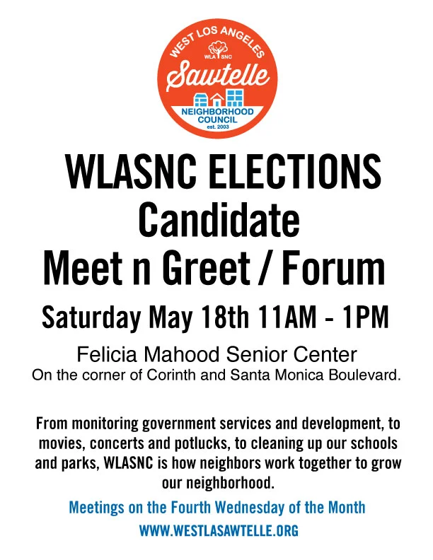 electionsflyer.jpg