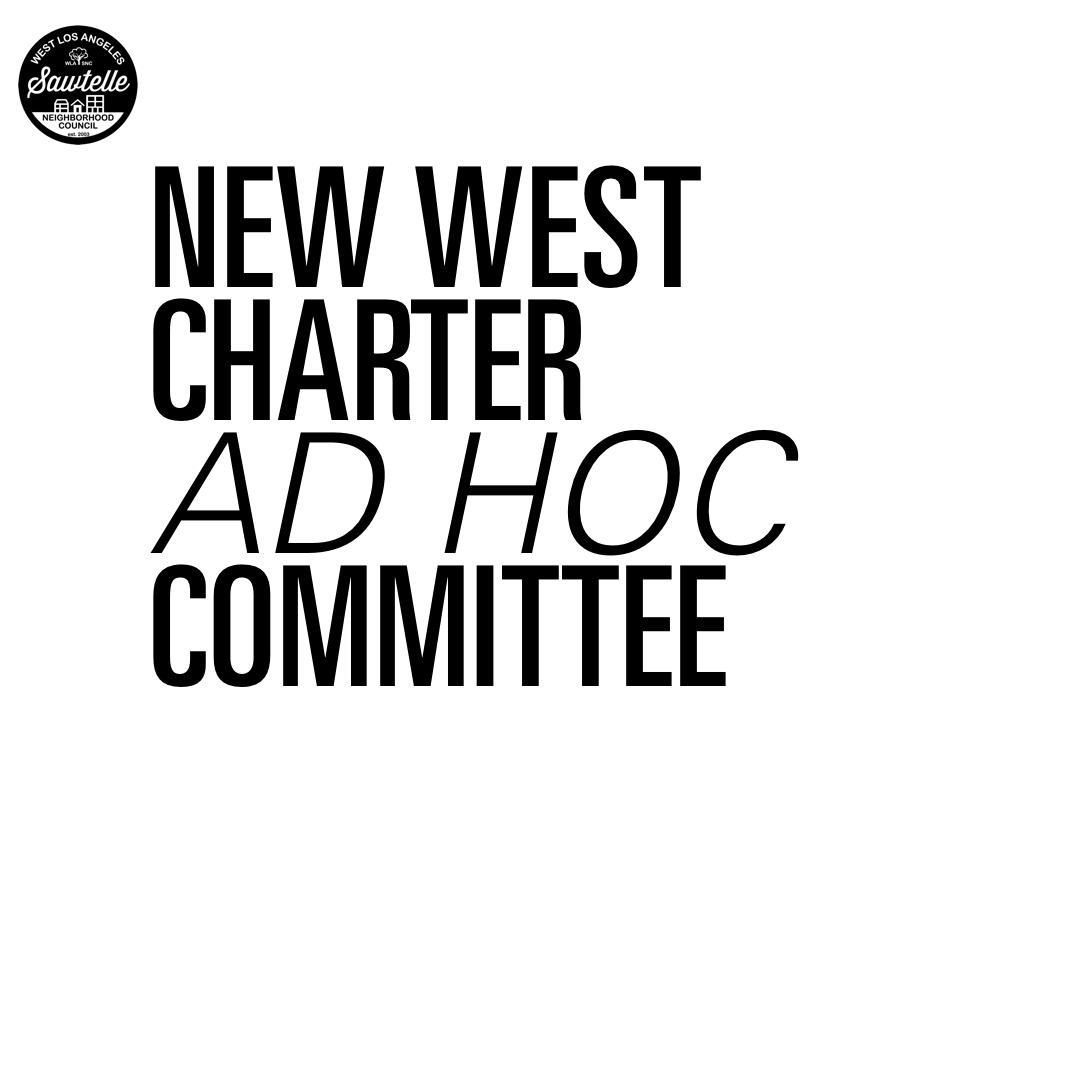 NEW WEST CHARTER AD HOC COMMITTEE PUBLIC MEETING 