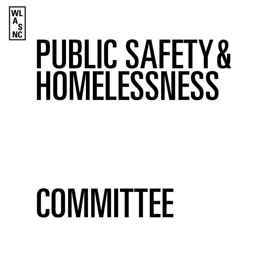 PUBLIC SAFETY &amp; HOMELESSNESS PUBLIC MEETING 