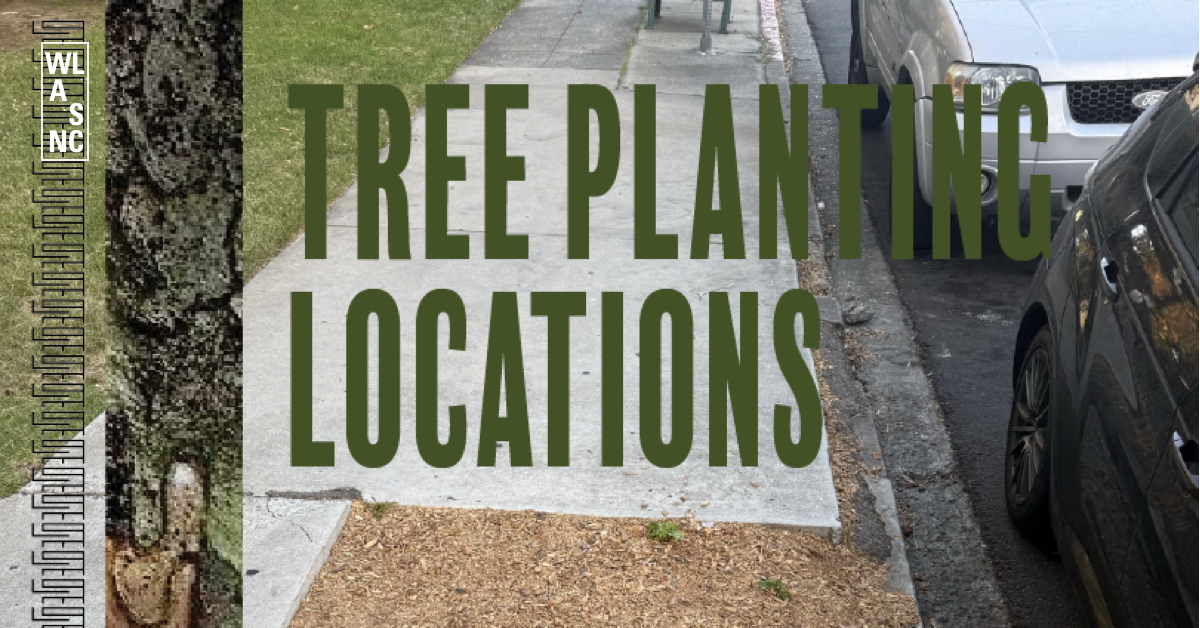 SAWTELLE TREE PLANTING DAY