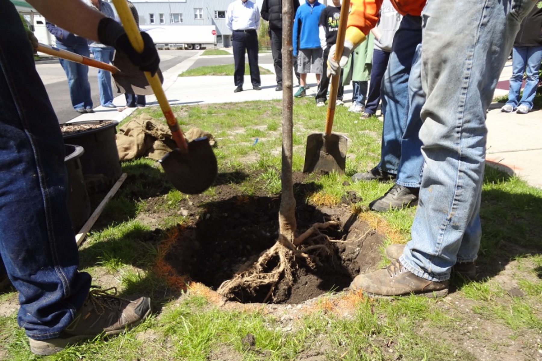 Students from Wonewoc High School plant a tree donated by Northwoods Casket Company as Steve Mitchell of Thompson Funeral Home looks on. Thanks to the donation, Wonewoc became a Tree City USA in 2012.