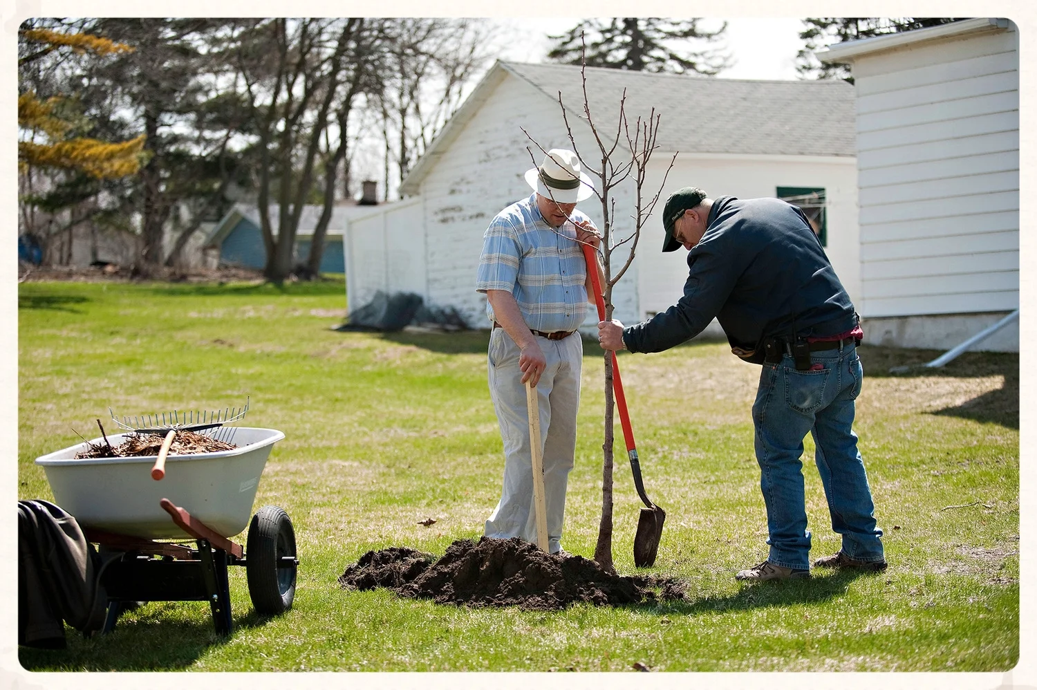 Jonas Zahn planting a tree on Center Street in the City of Beaver Dam.