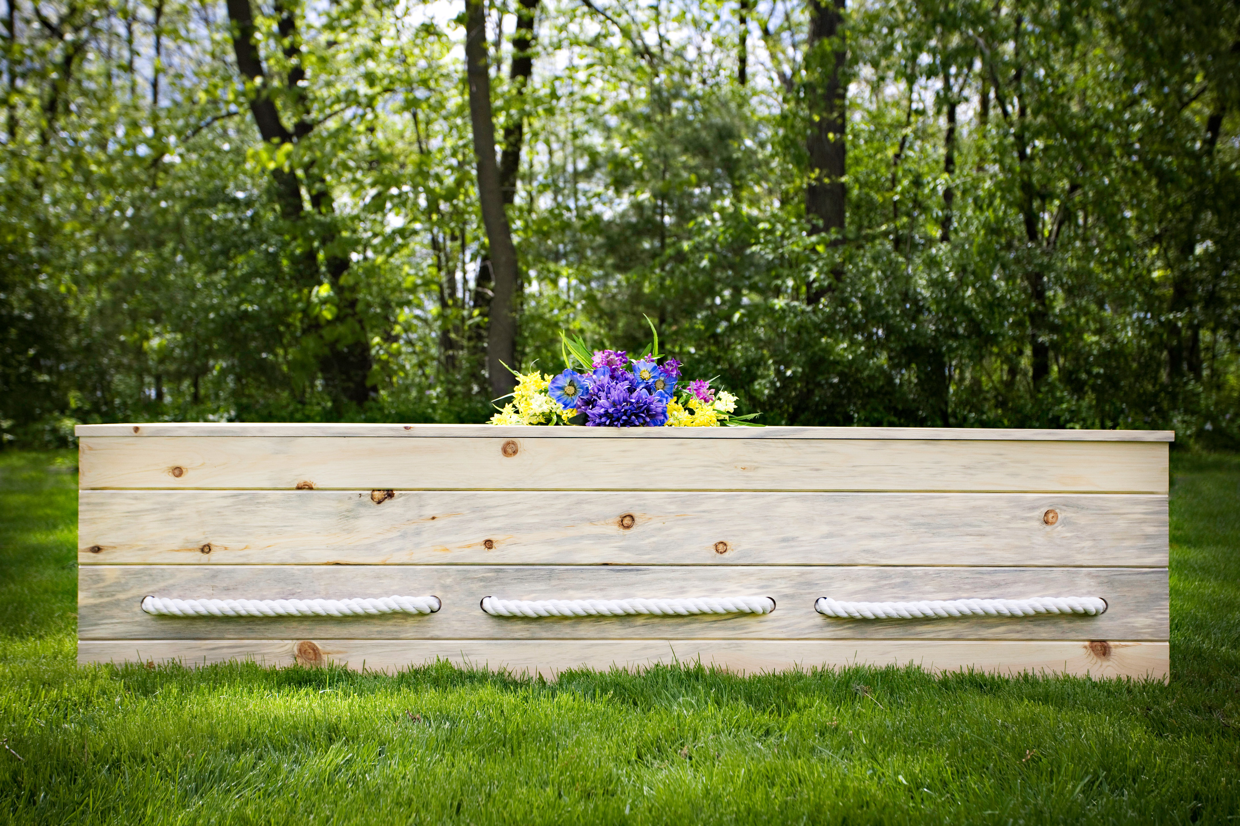 simple-pine-box-in-the-woods-hires.jpg