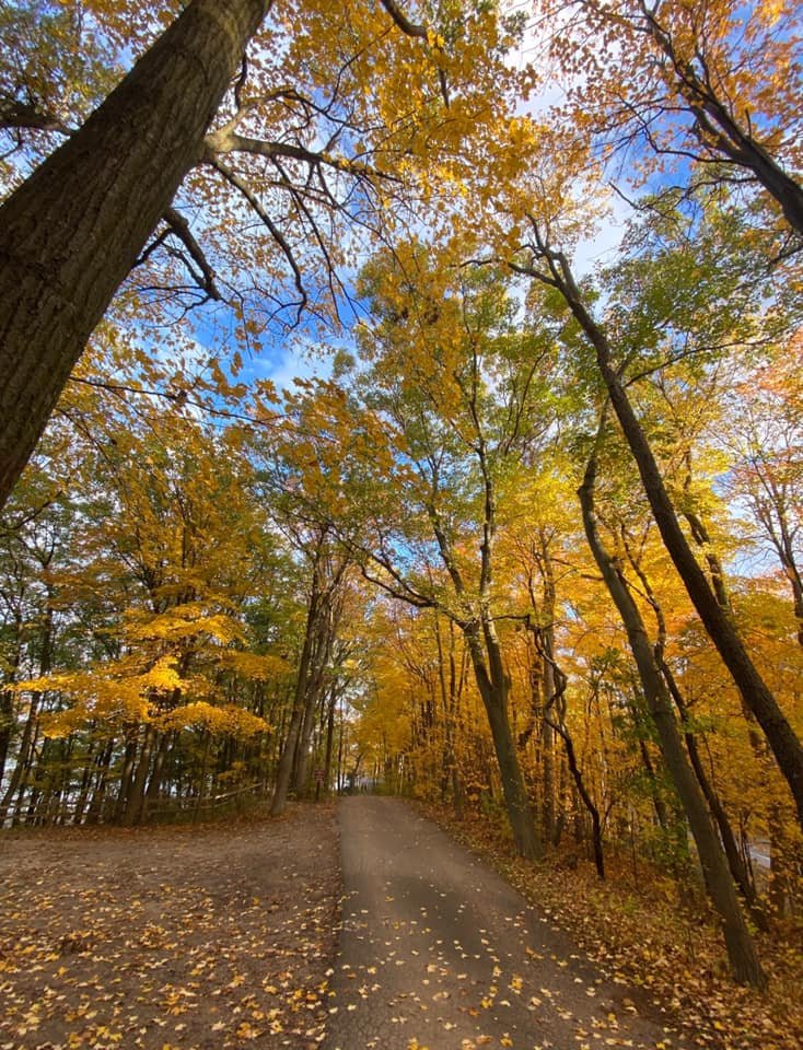 Fall Trail.jpg