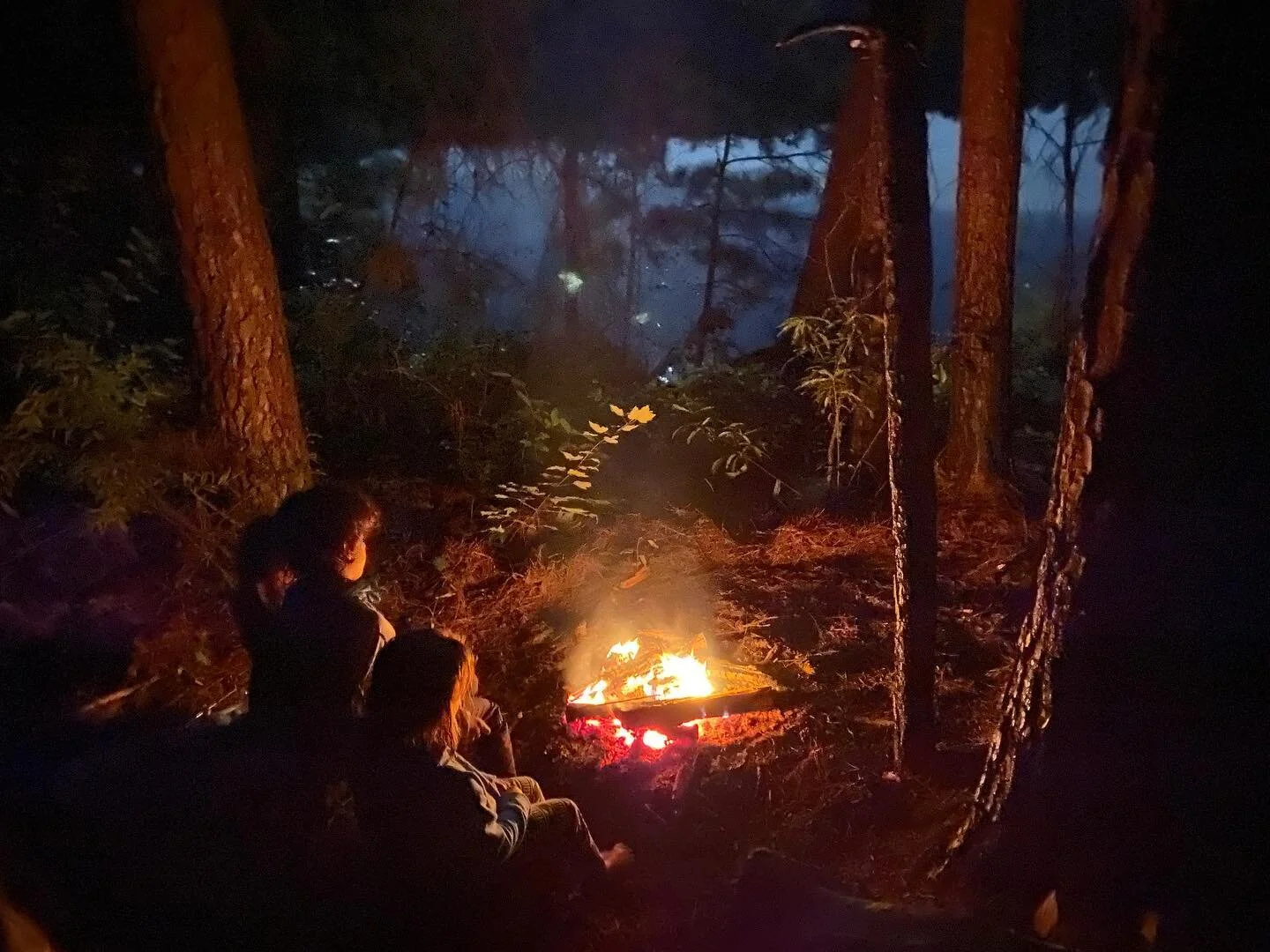 Who shall say I am not
the happy genius of my household?