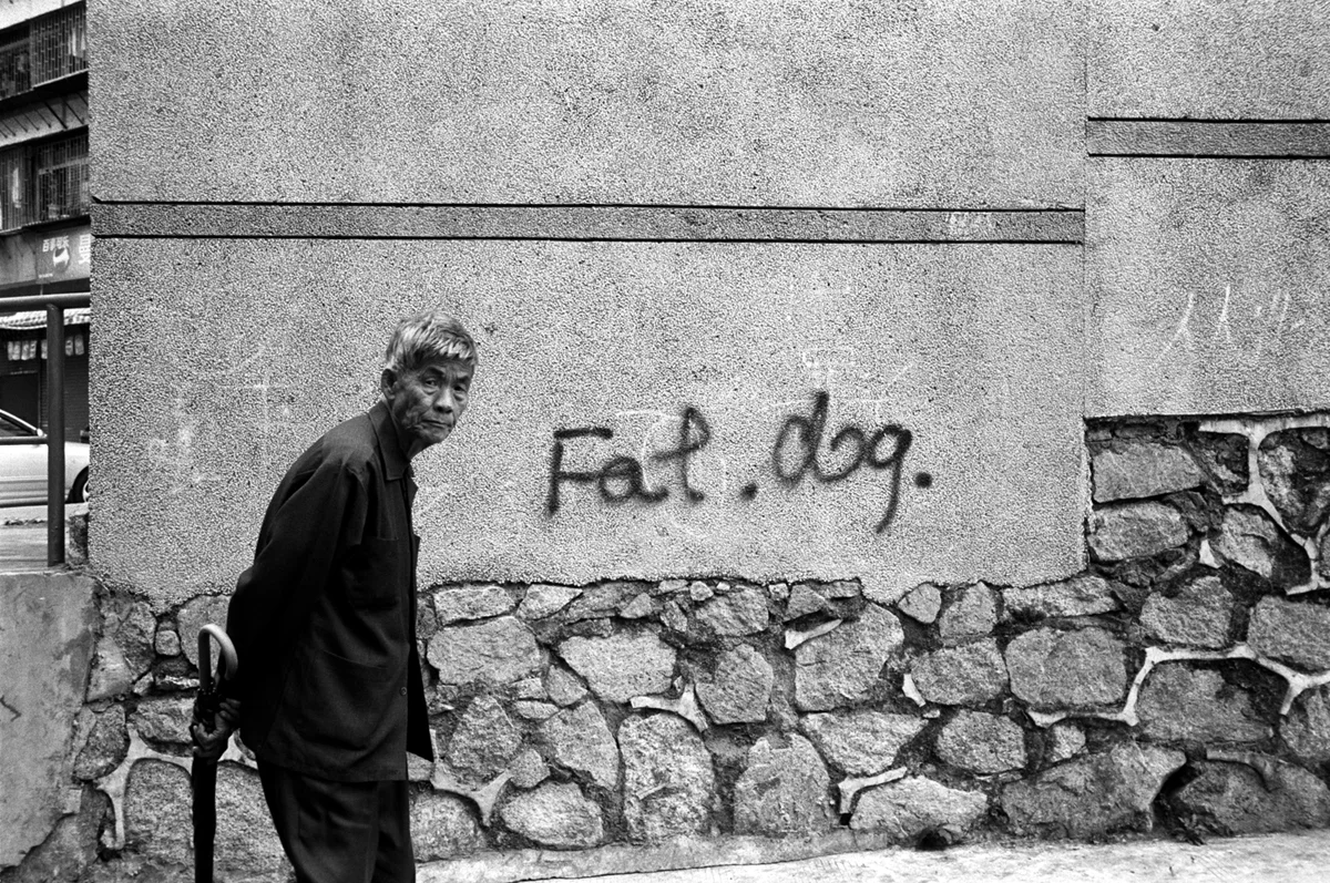 Fat_Dog.jpg