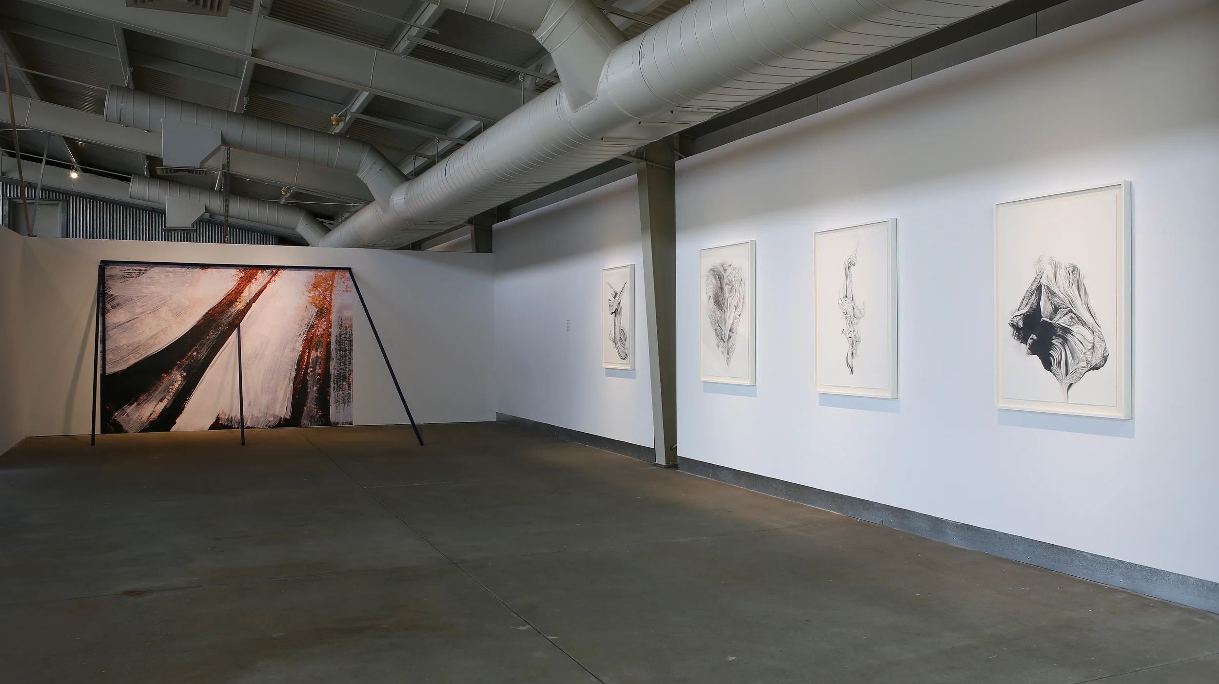 "Radical Landscapes" exhibition at the di Rosa. Photo credit: Wilfred J. Jones