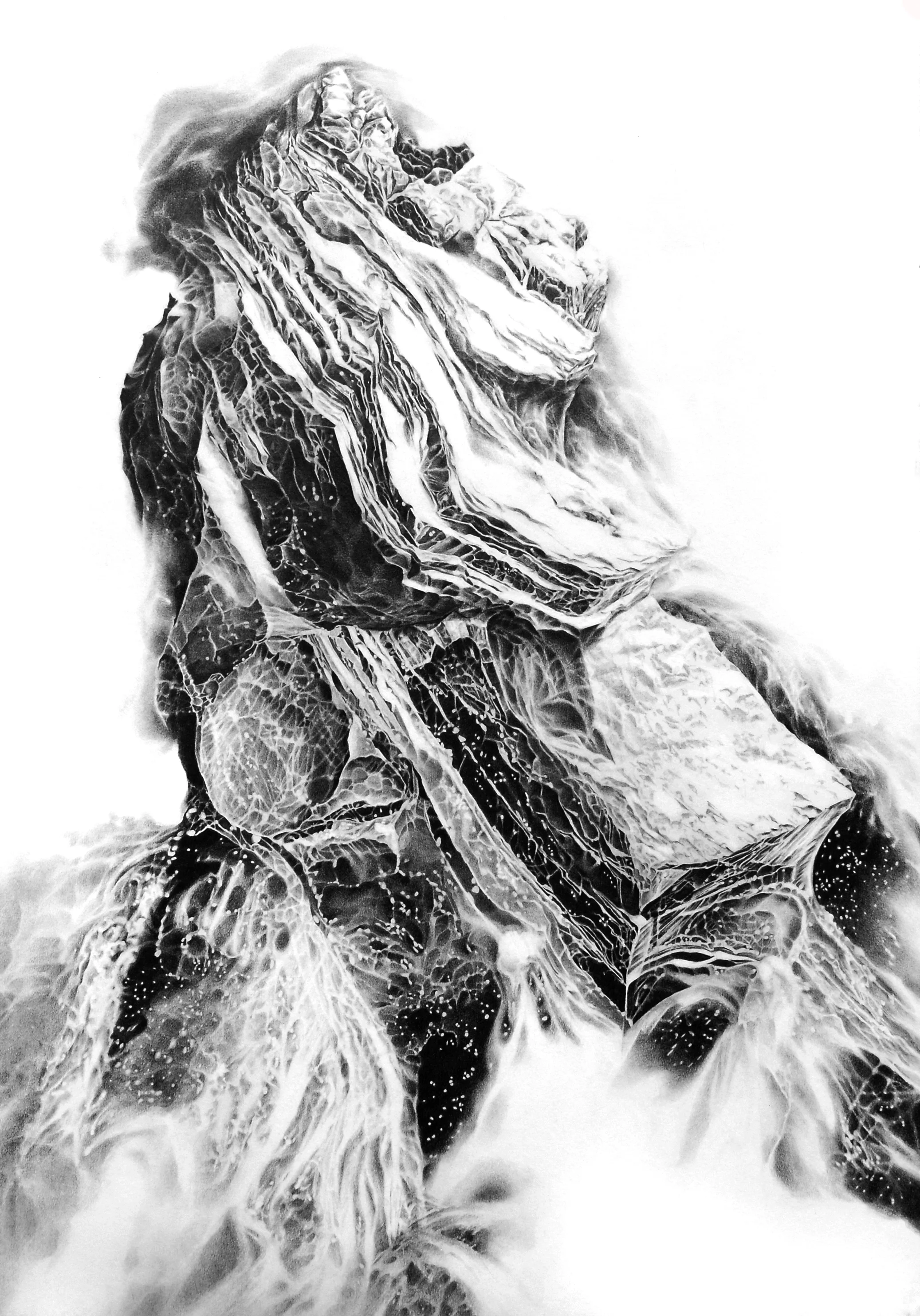 "The Hypostasy of Ann Clayborn," Graphite on Paper, 44 x 30" 2016