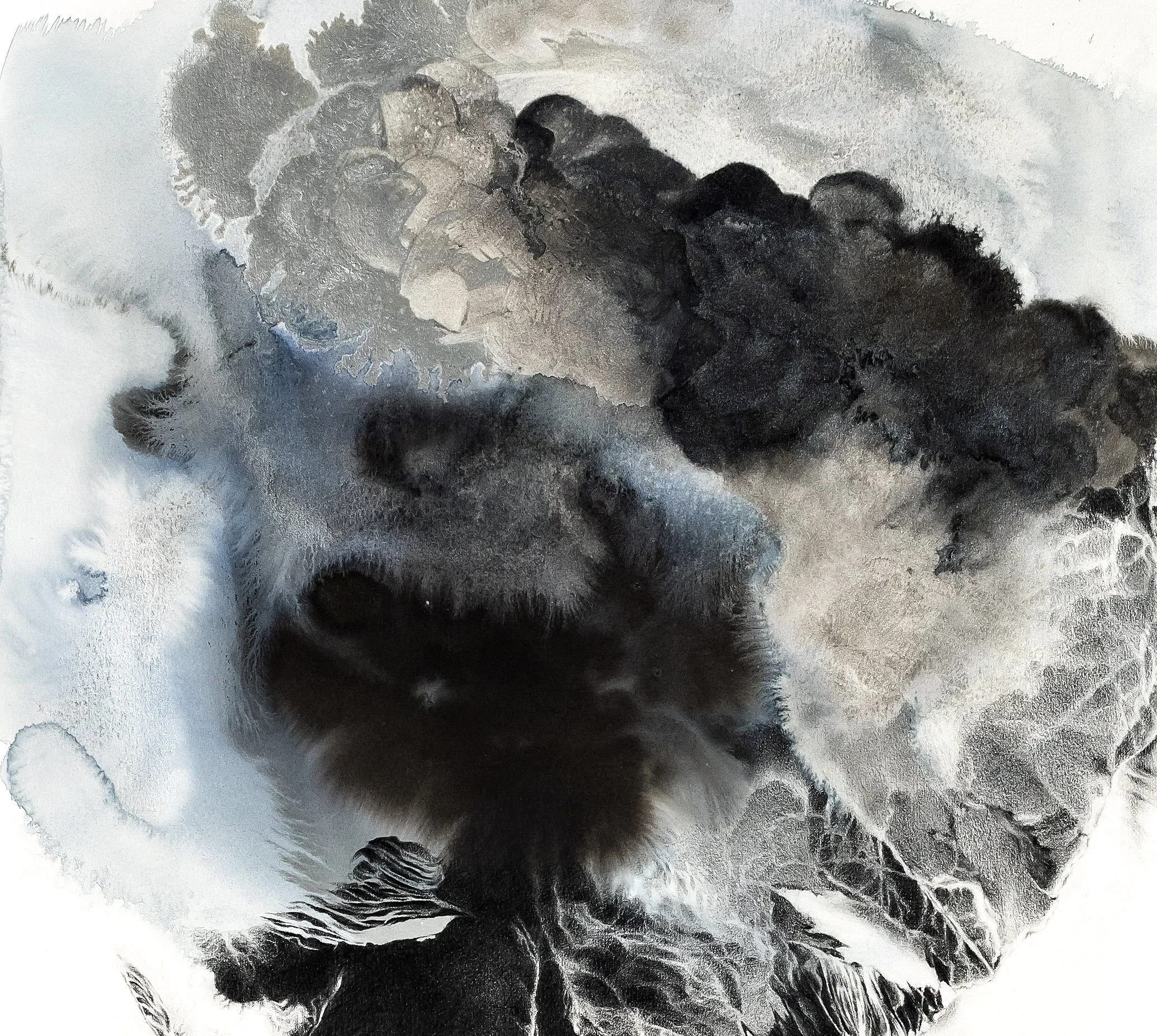 2019_05 - Elizabeth Sims-08 copy copy.jpg