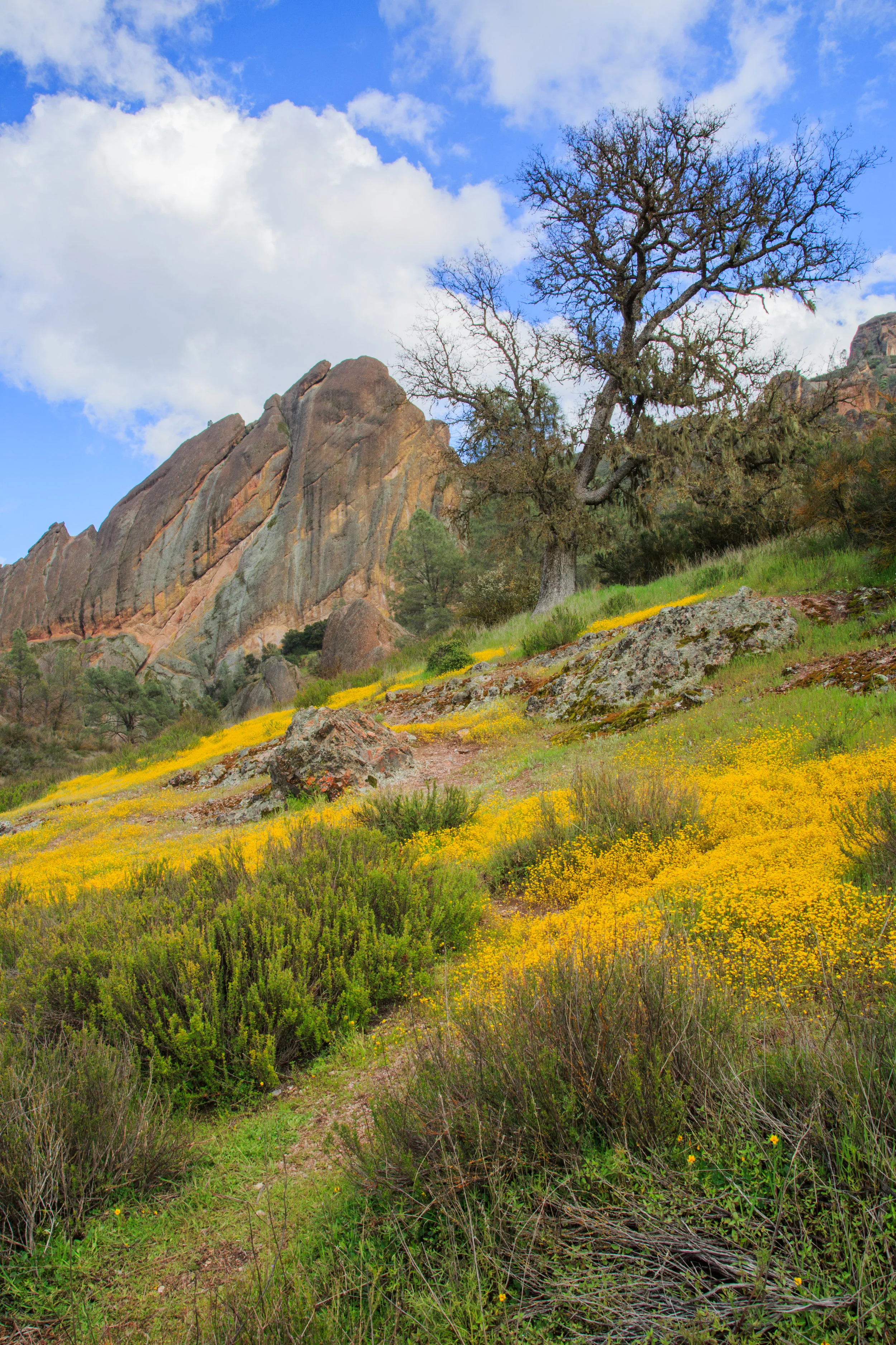 pinnacles-11.jpg