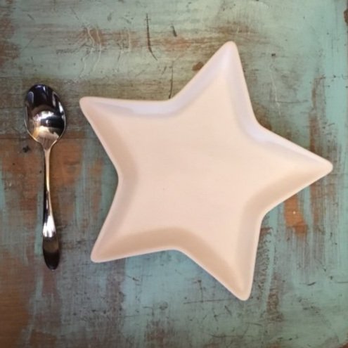 Star Dish, USA — Paint Your Own Pottery