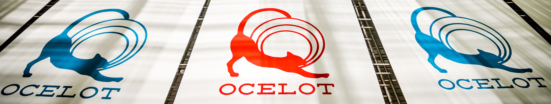 Press Rental — Ocelot Print Shop