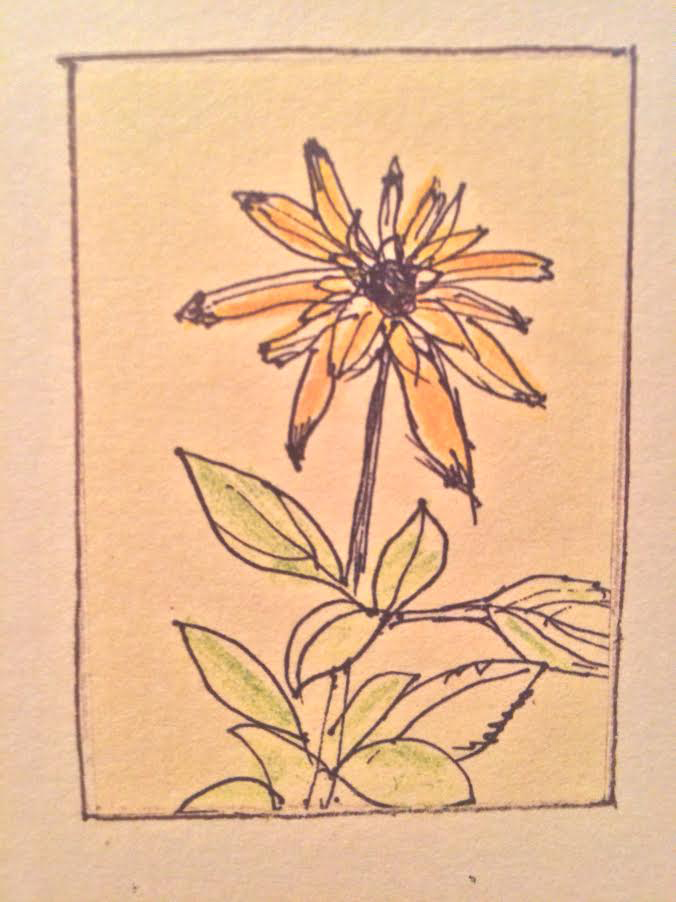 Drawing by John Brown