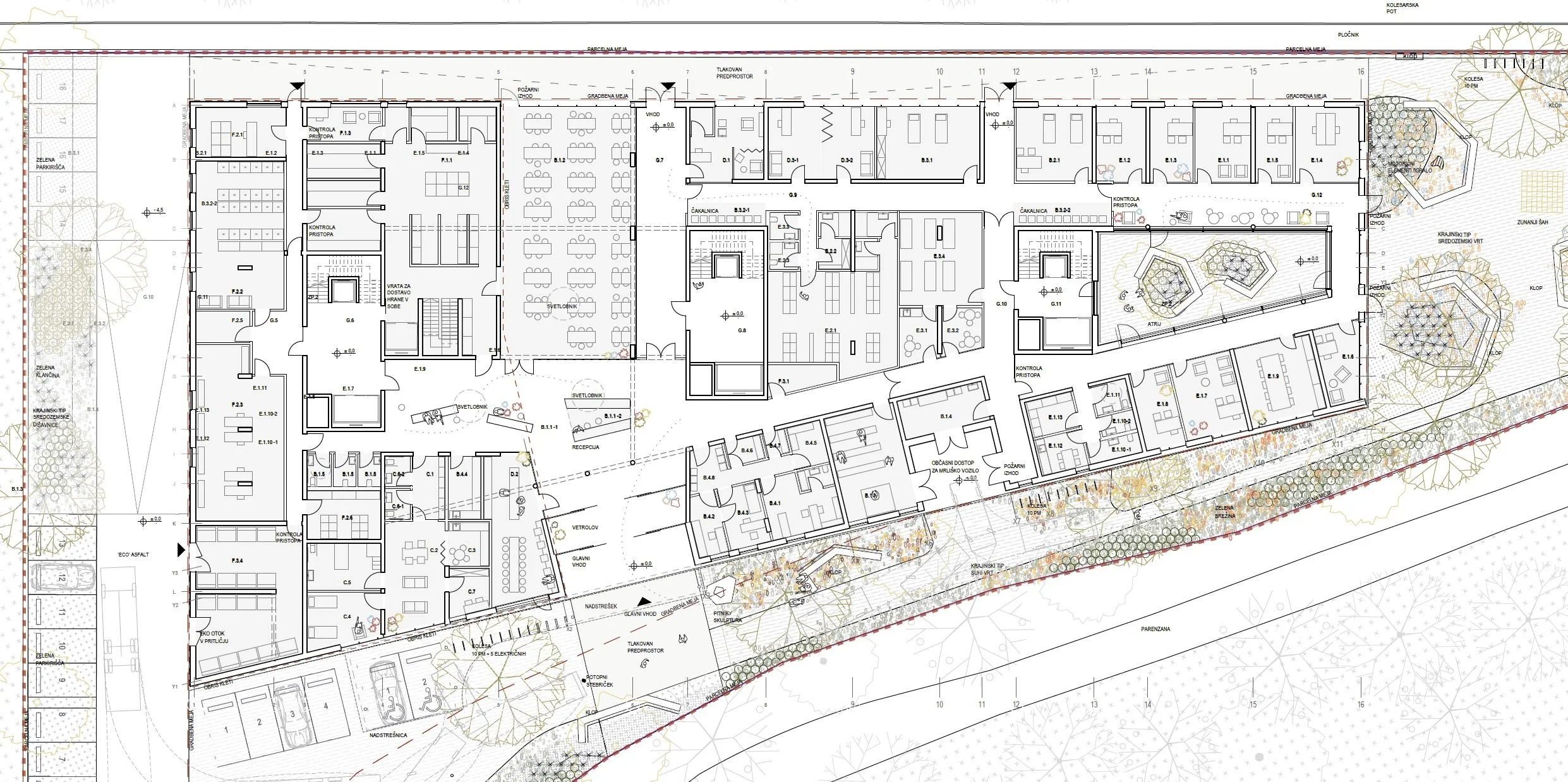 P PLUS_DSO_TLORIS PRITLICJA.JPG