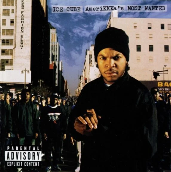 Did I Like This? (AmeriKKKa's Most Wanted)