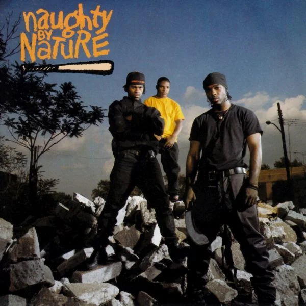 Did I Like This? (Naughty by Nature)