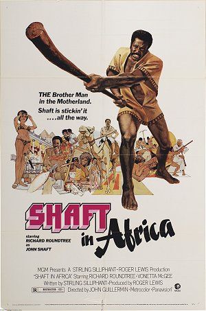 179 shaft_in_africa.jpg