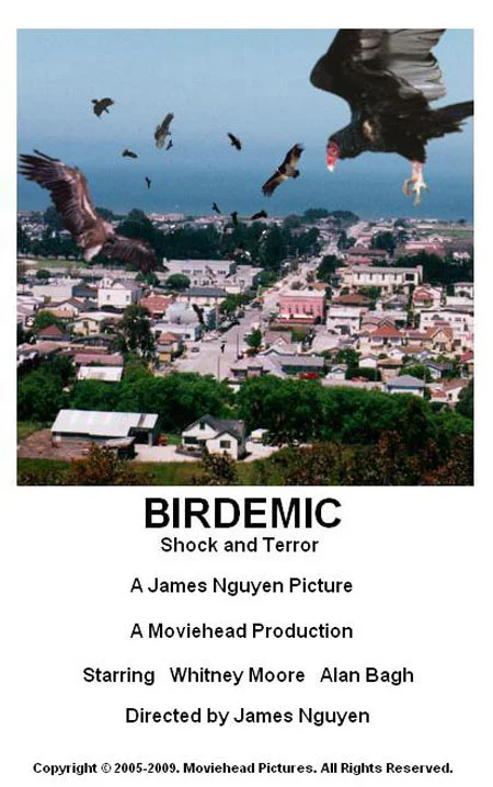 Birdemic: Shock and Terror (2010)