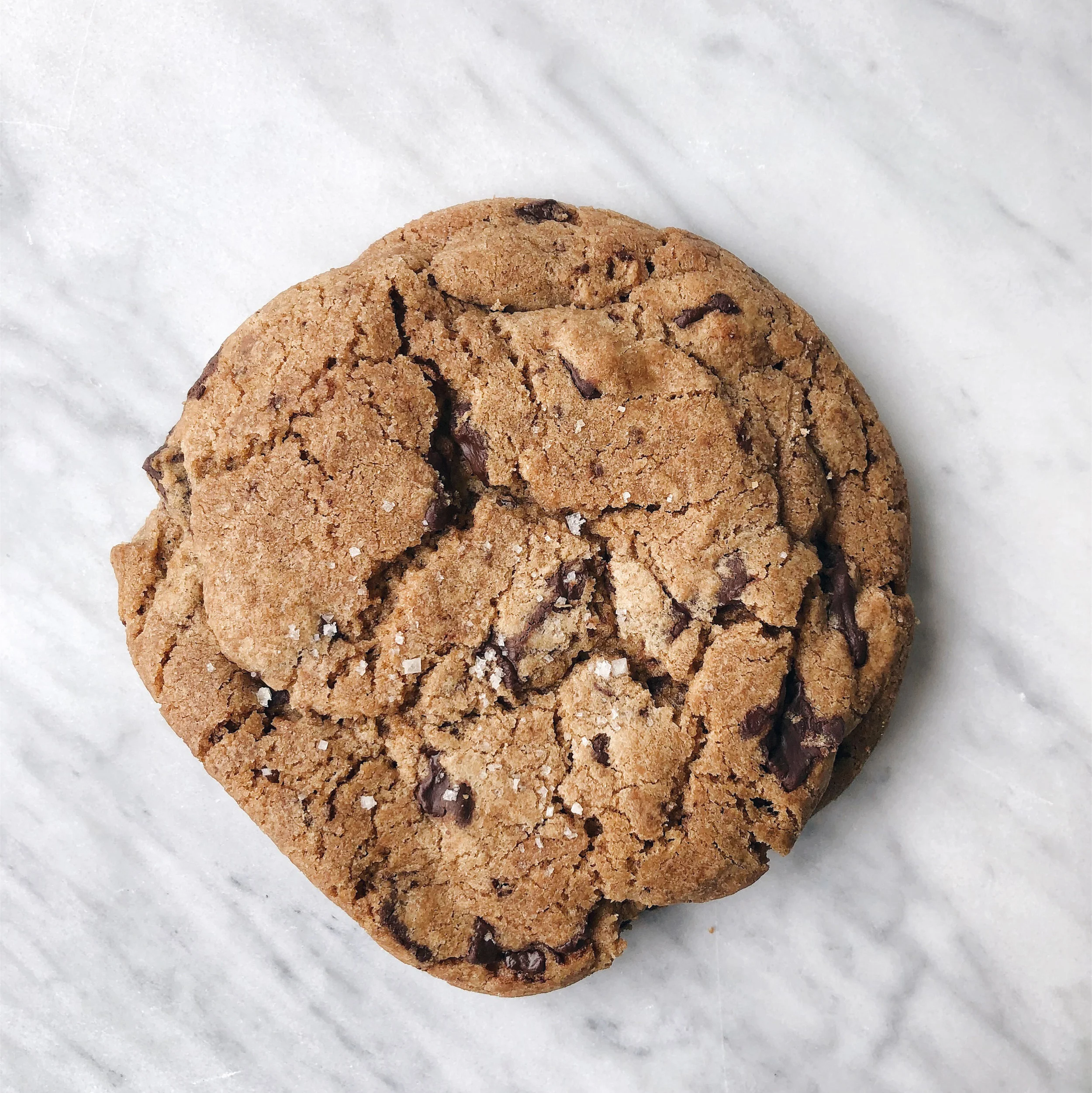 Fresh Baked Chocolate Chip Cookies by the Dozen