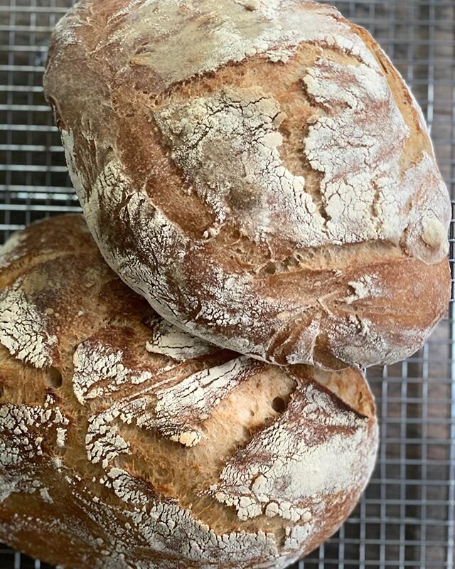 The Fig Fam is all in on the sourdough craze! Take a look at Francesca&rsquo;s spectacular artisan boule and Gabrielle&rsquo;s @gabriellesiegel equally amazing sourdough wonder. Loved having sourdough bread every day this week and even made rustic cr