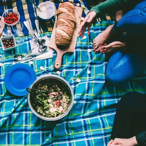 Picnic Party