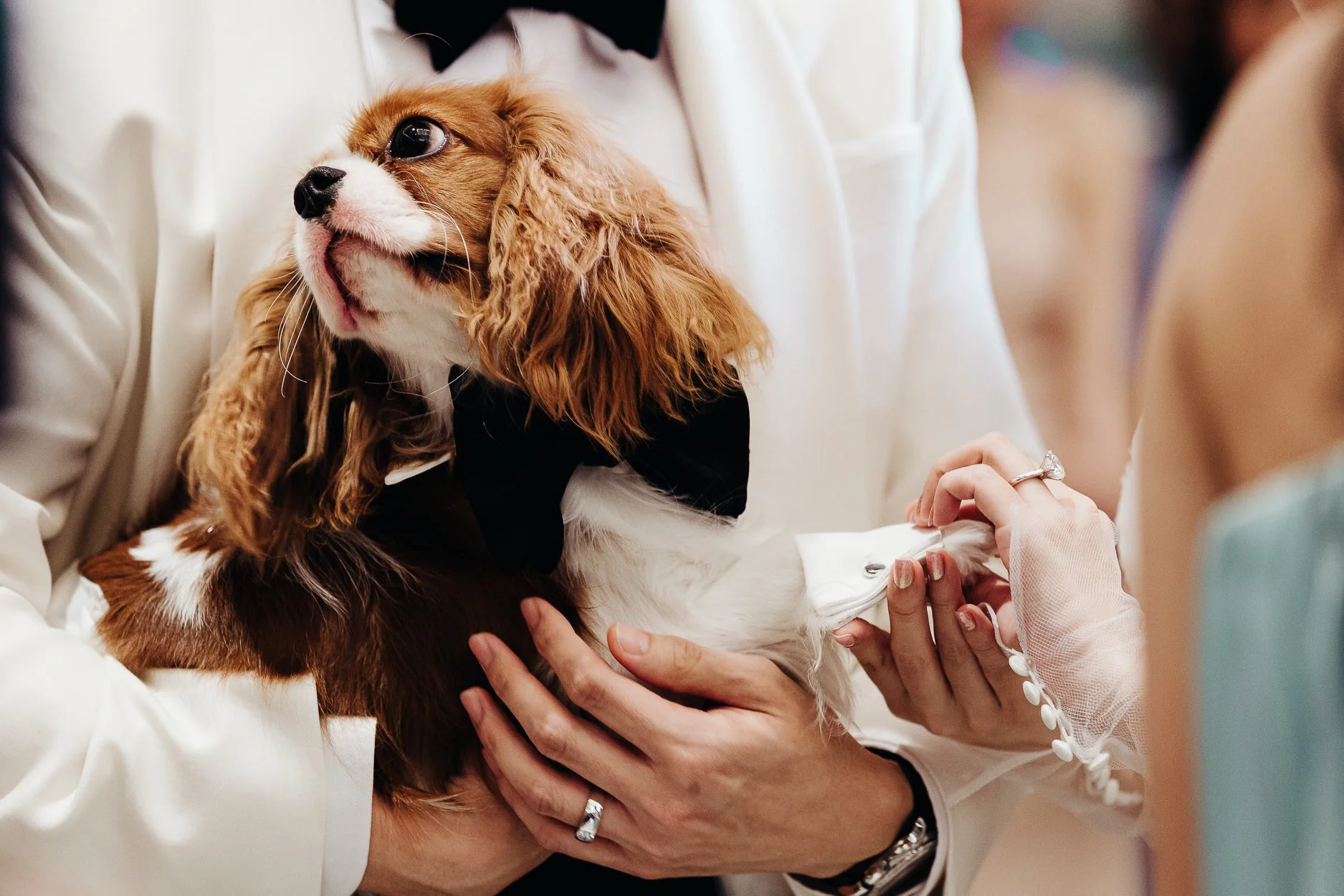 MEW + SAINT RECEPTION 43.jpg